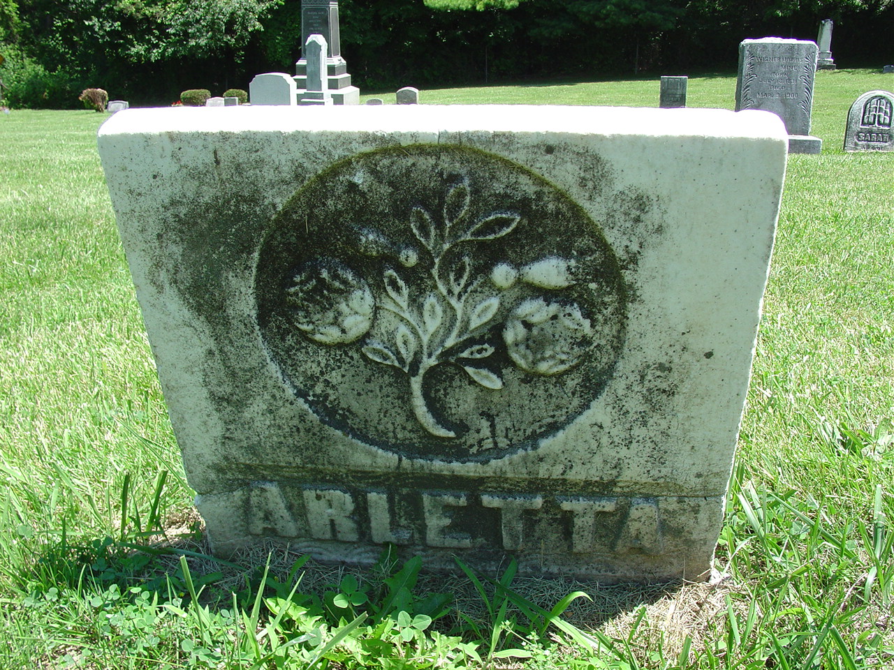 Portrait of Arletta M. Frick