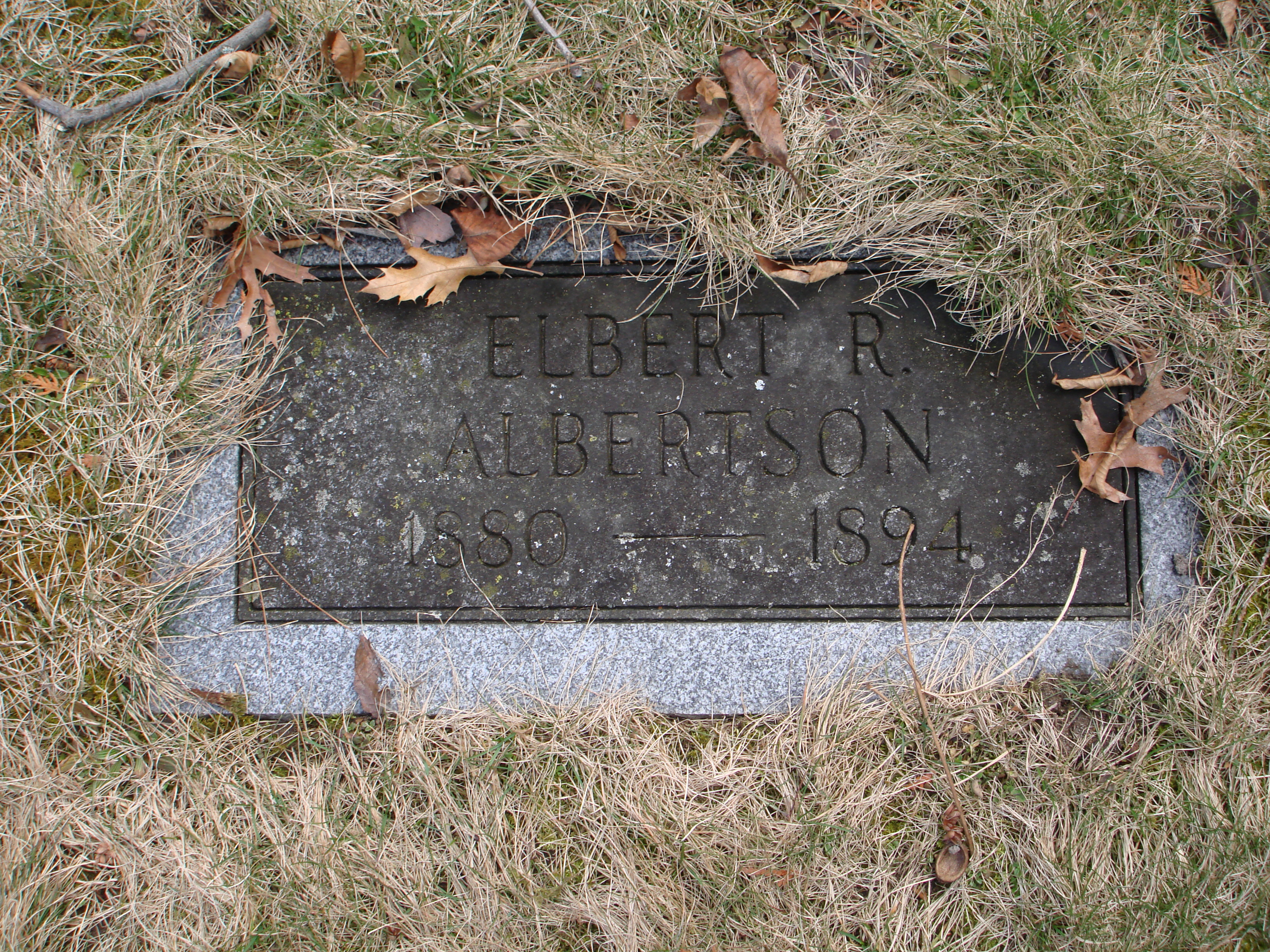 Portrait of Elbert R Albertson
