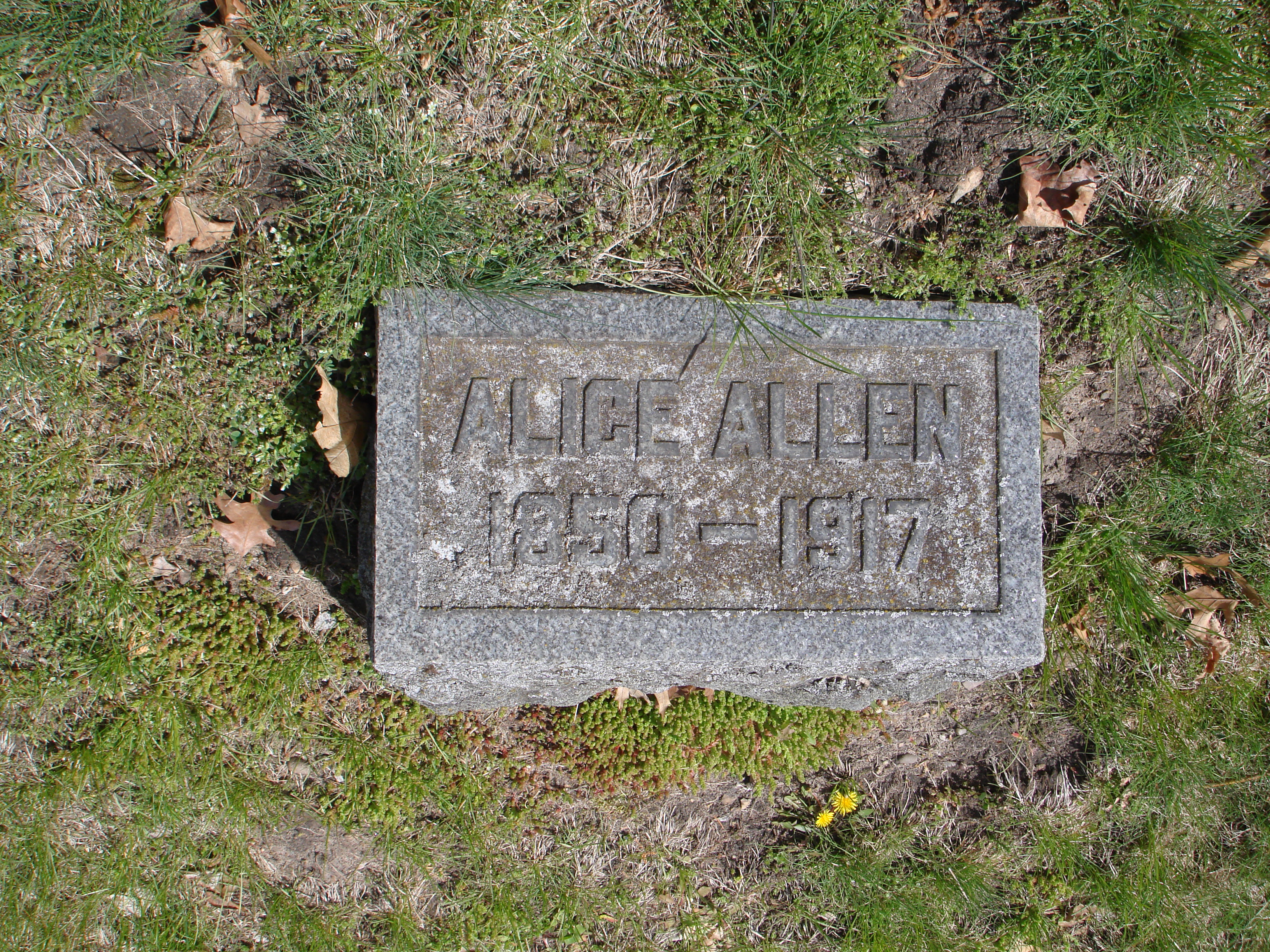 Portrait of Alice  Conklin