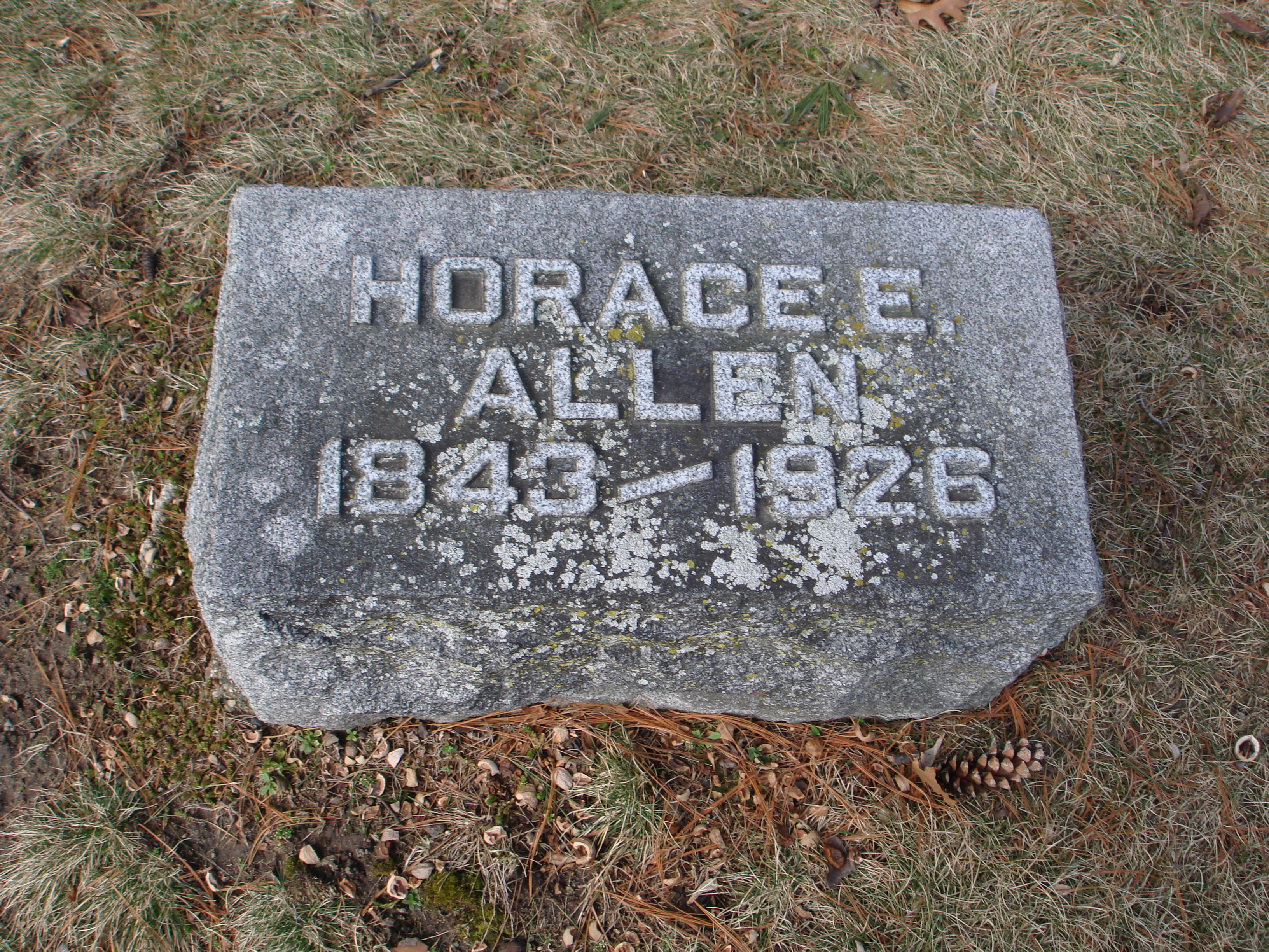 Portrait of Horace E Allen