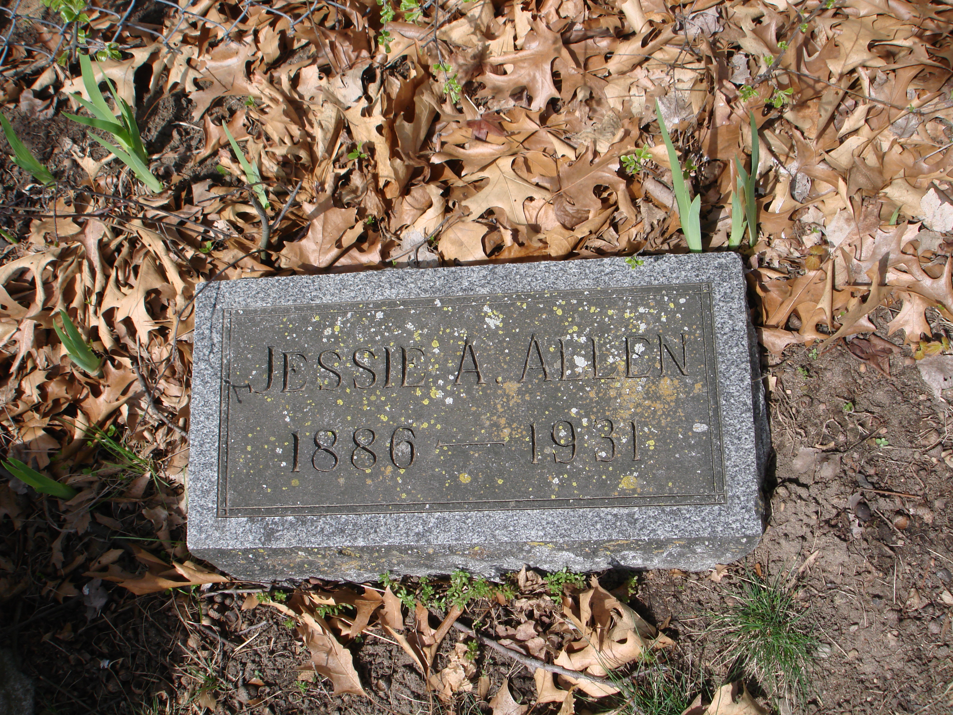 Portrait of Jessie Amelia Allen
