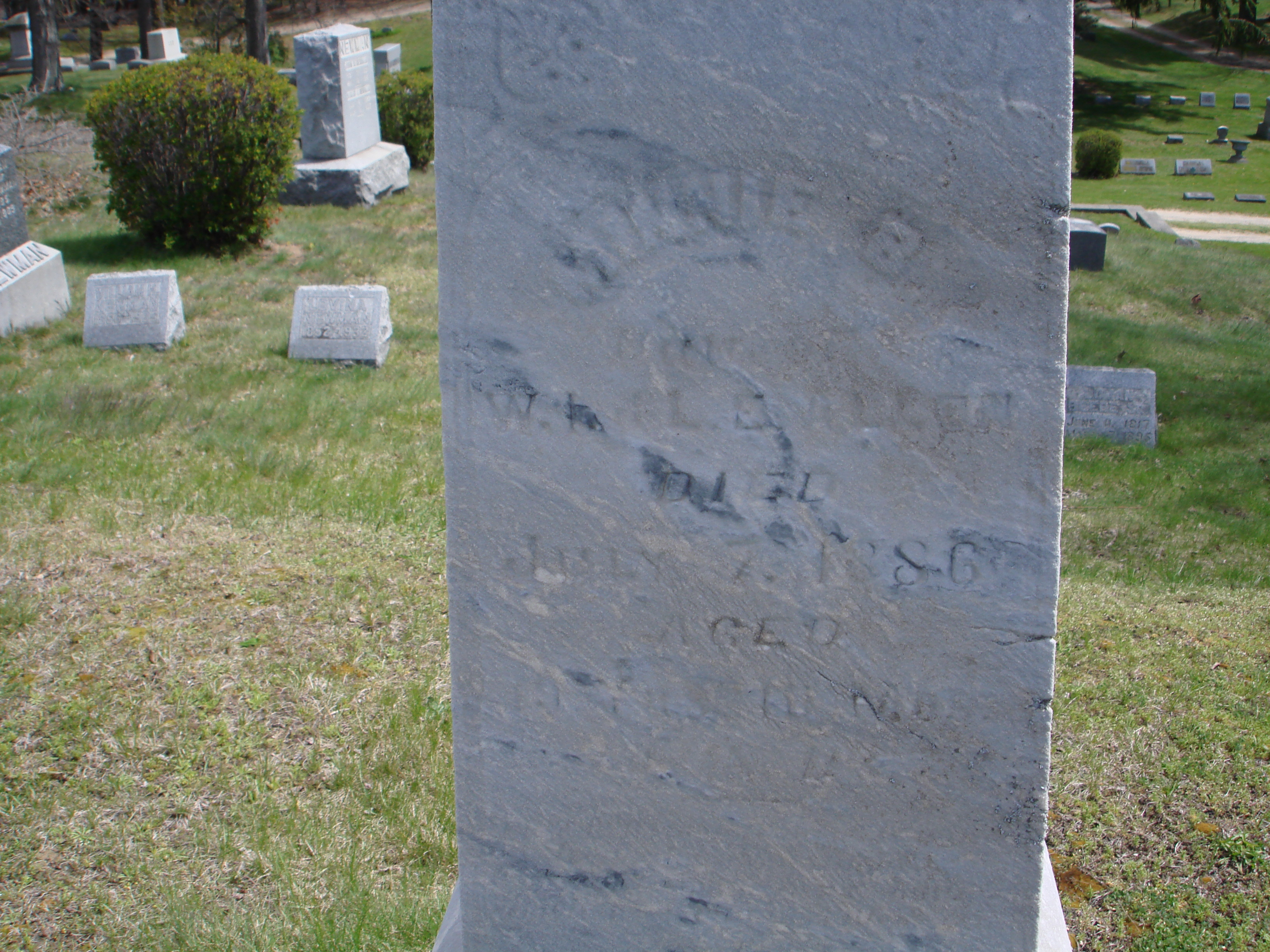 Portrait of Minnie B Allen