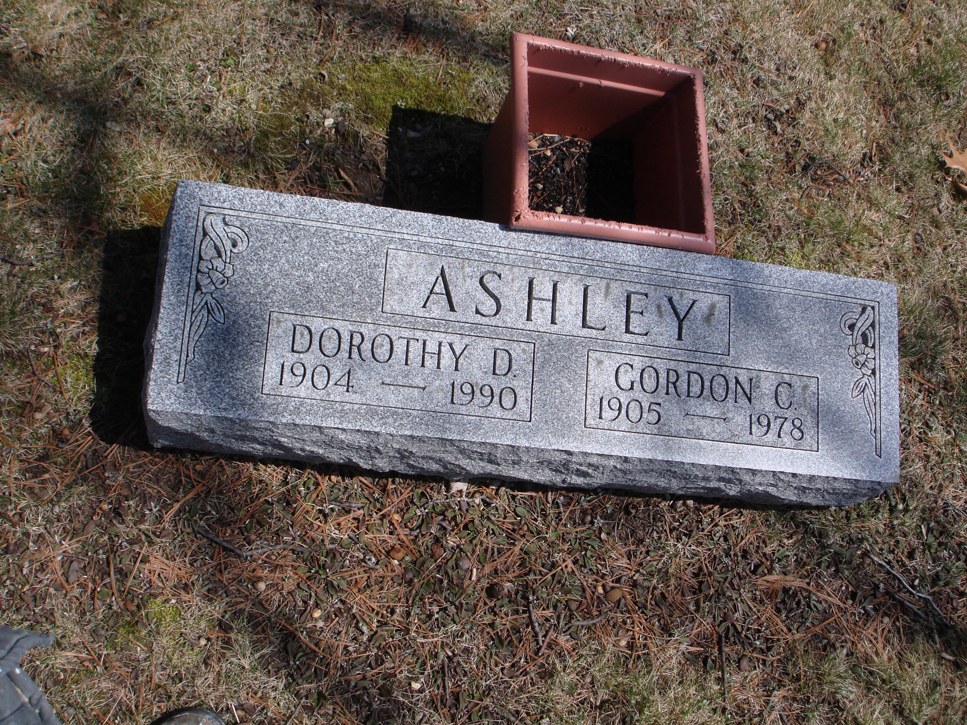 Portrait of Dorothy D  Glaspie