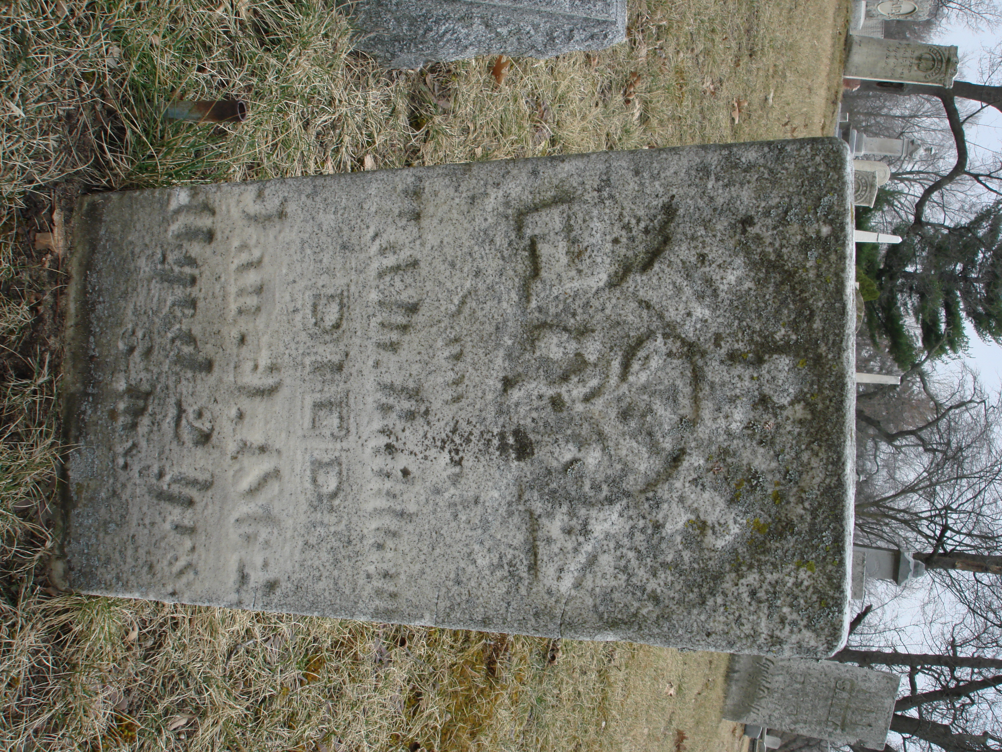 Portrait of Della Baldwin