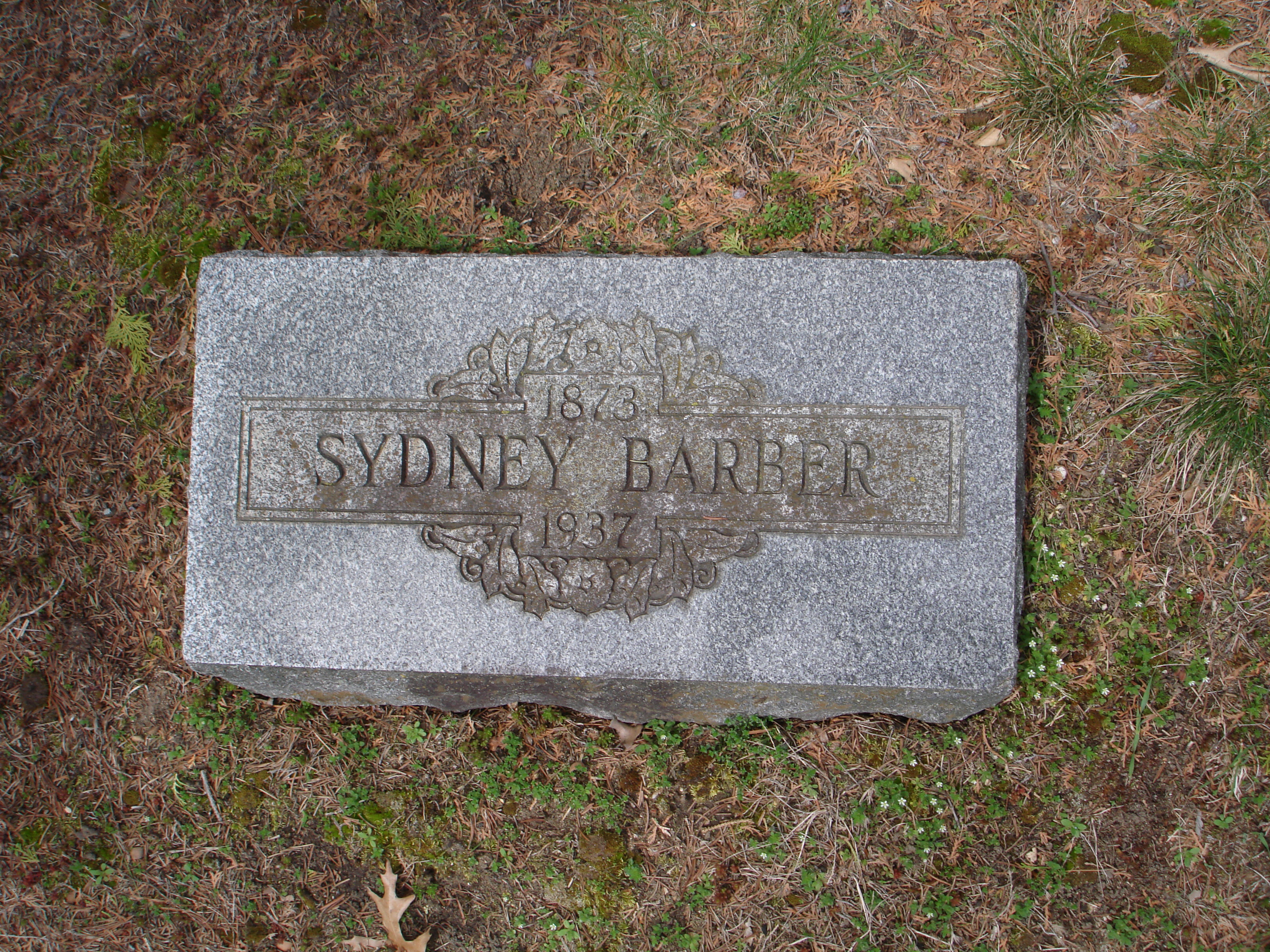 Portrait of Hiram Sydney Barber