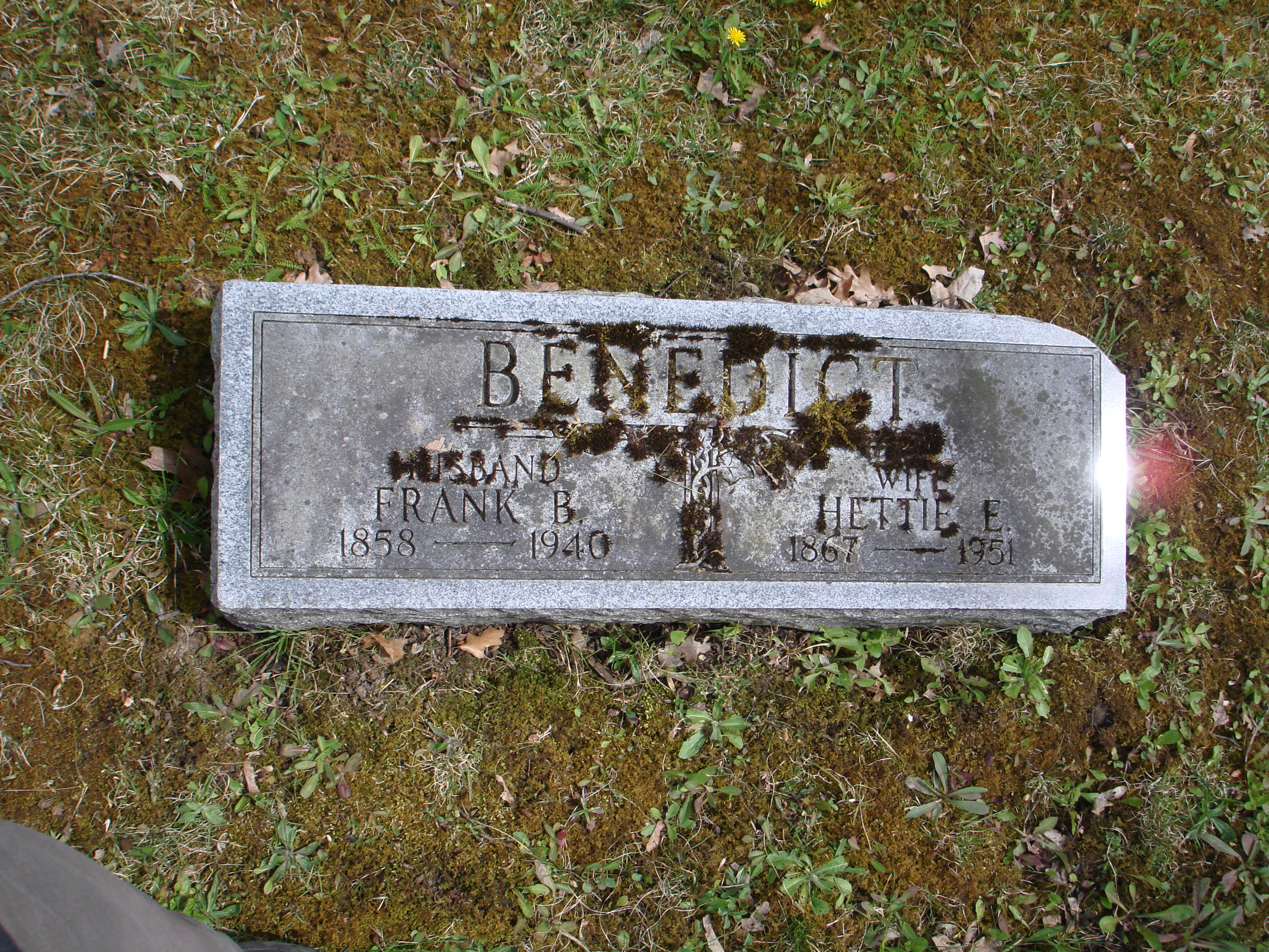 Portrait of Frank Benedict