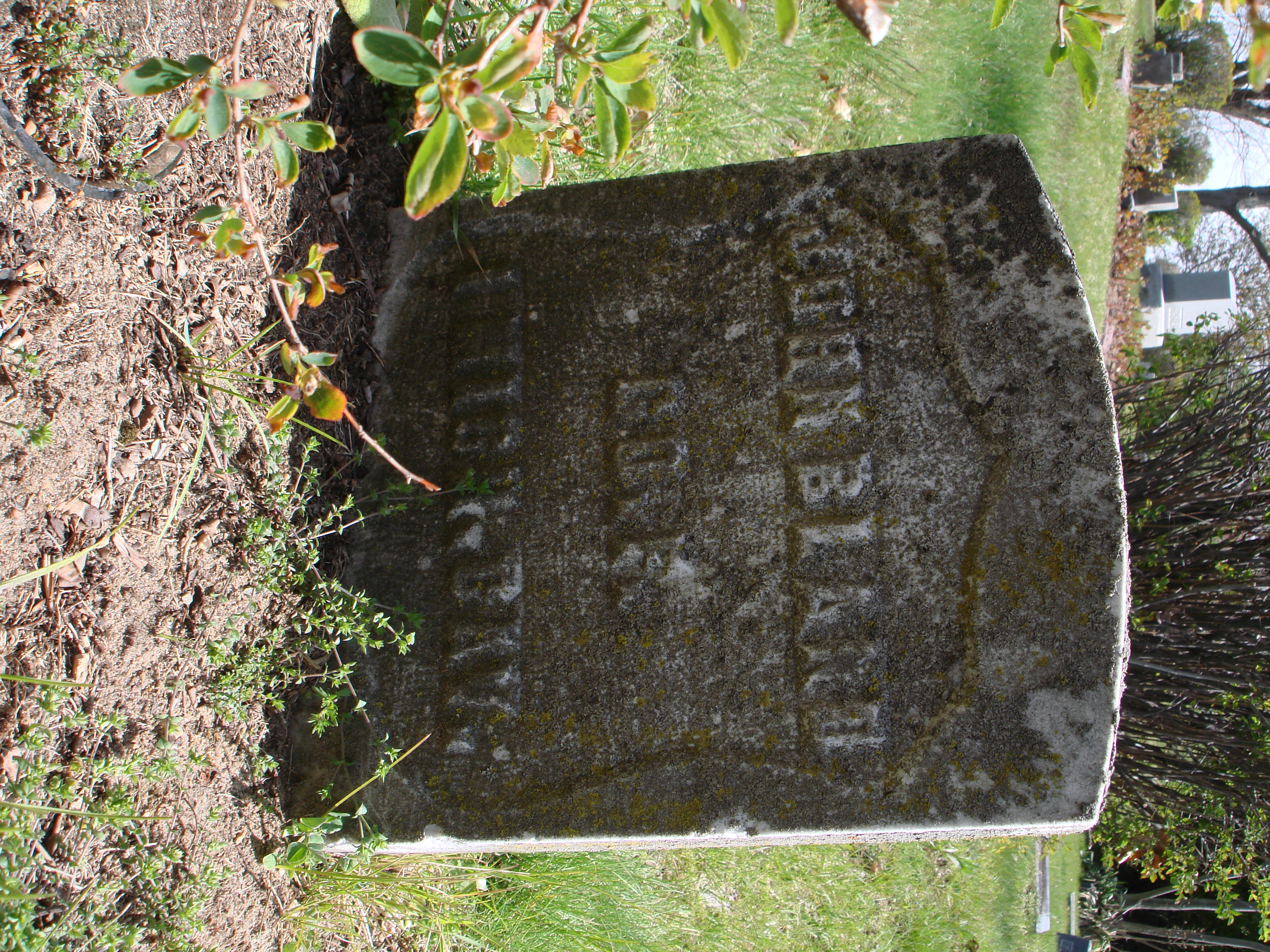 Portrait of John Bland