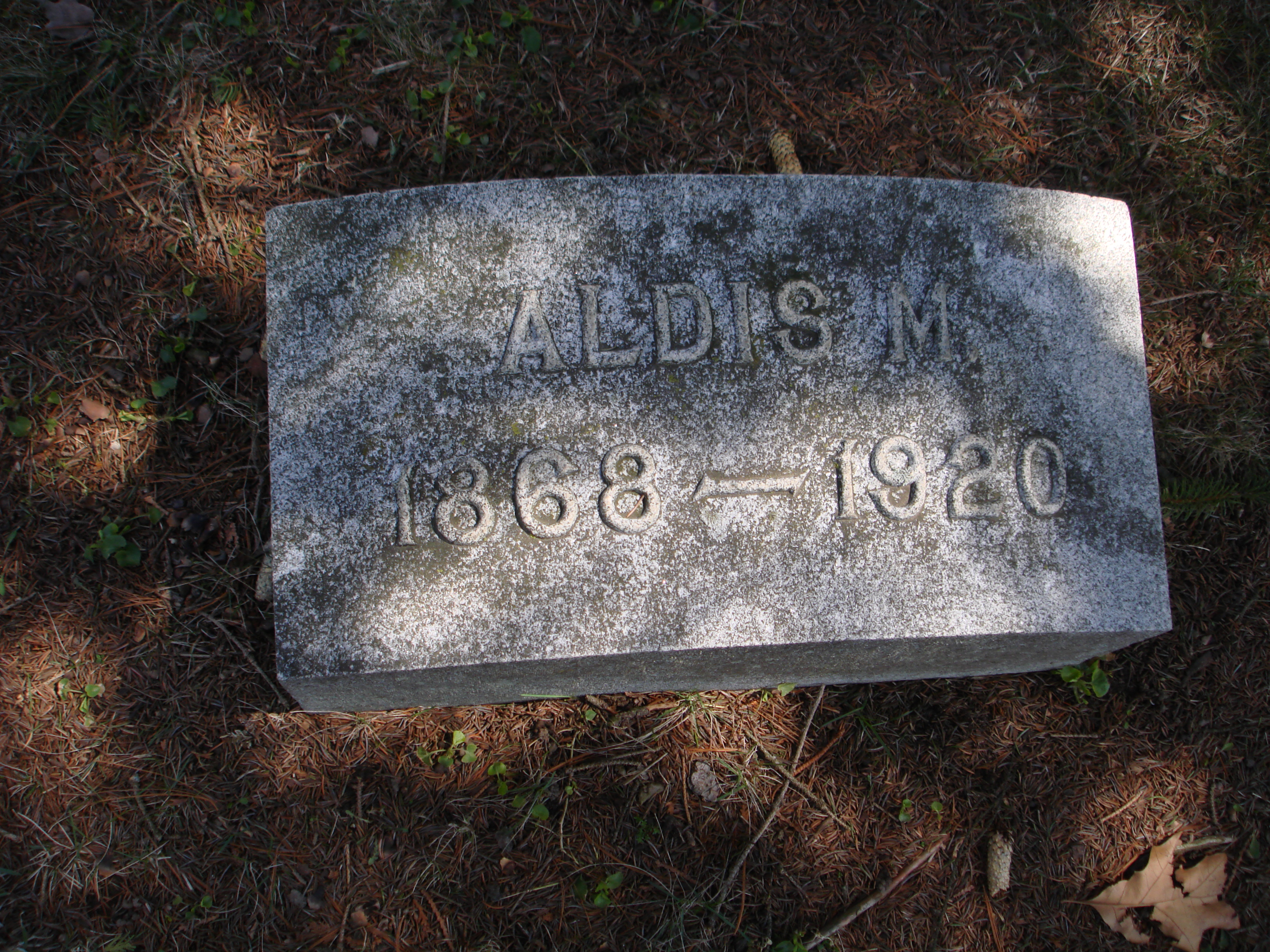 Portrait of Aldis M Bliss