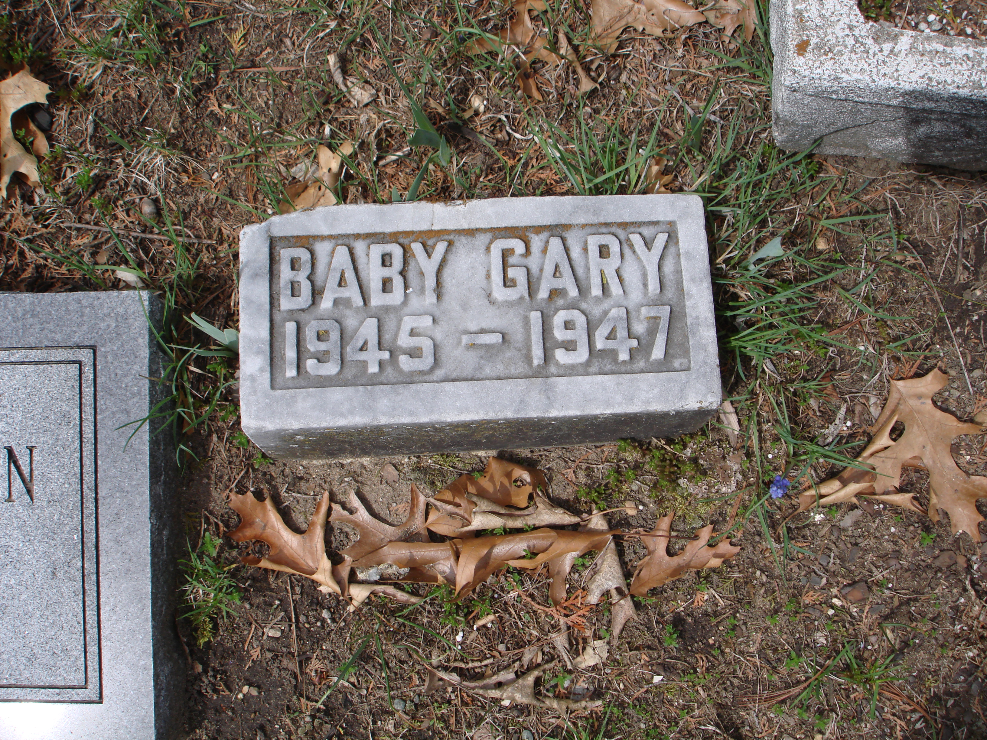 Portrait of Gary Brittain