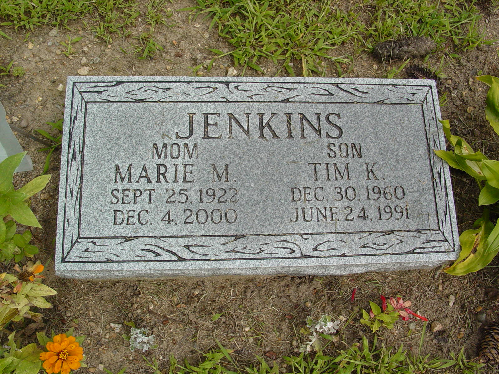 Portrait of Tim Jenkins