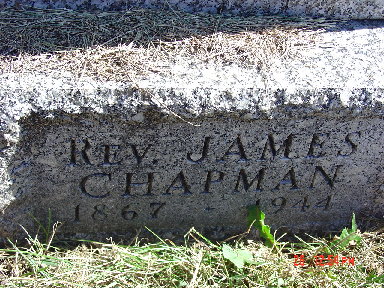 Portrait of James Chapman