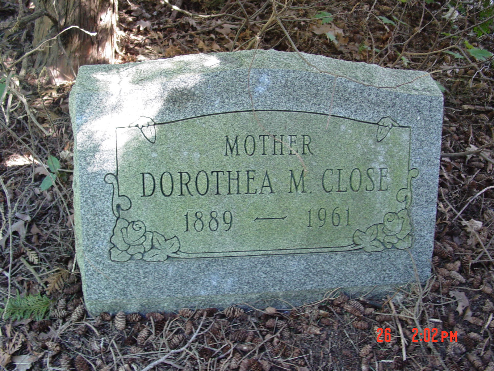 Portrait of Dorothy M Close