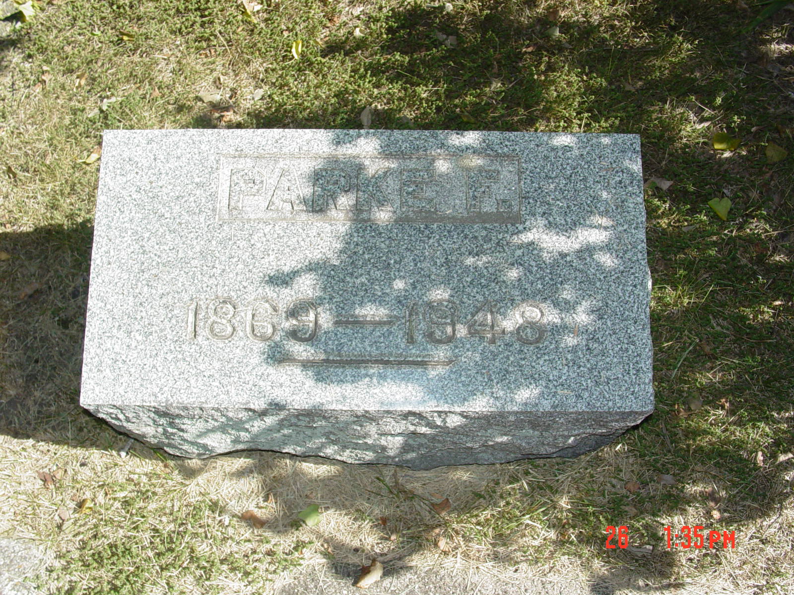 Portrait of Park E Cutting