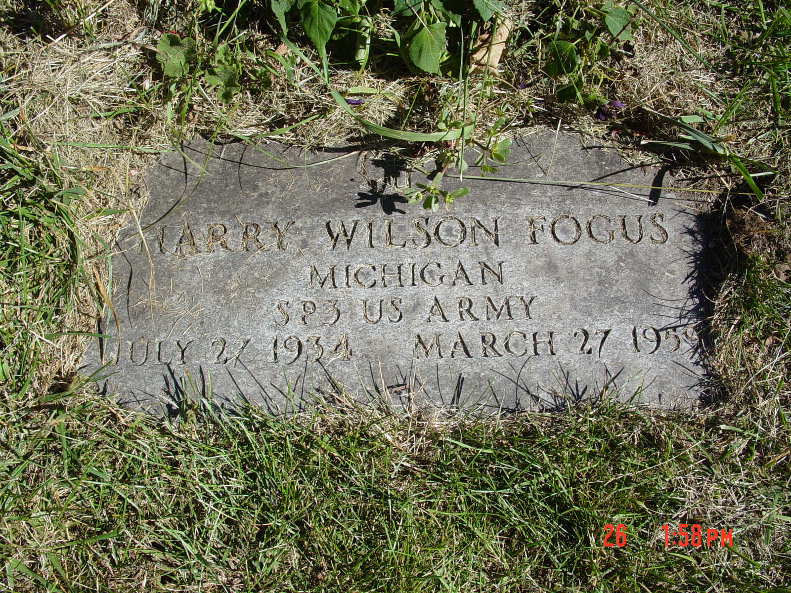 Portrait of Harry Wilson Fogus
