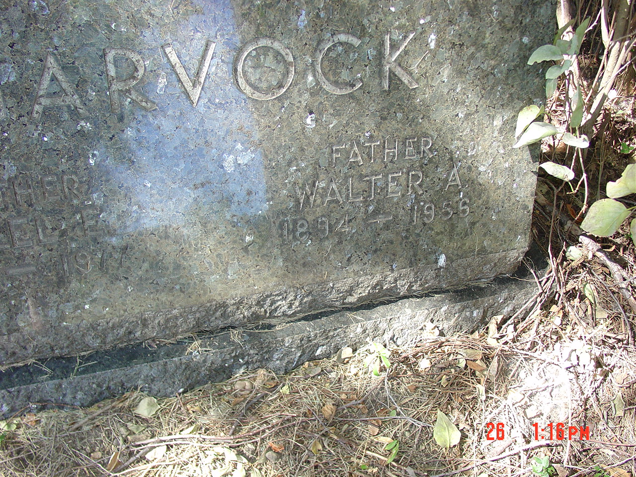 Portrait of Walter Alexander Garvock