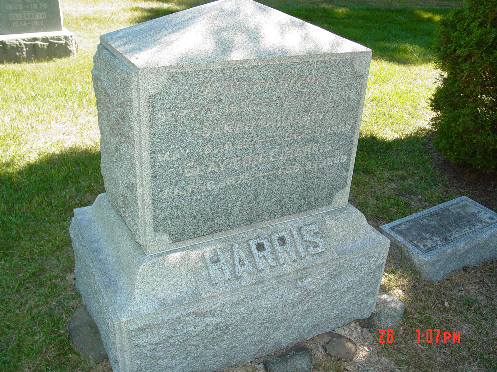 Portrait of Sarah S Harris