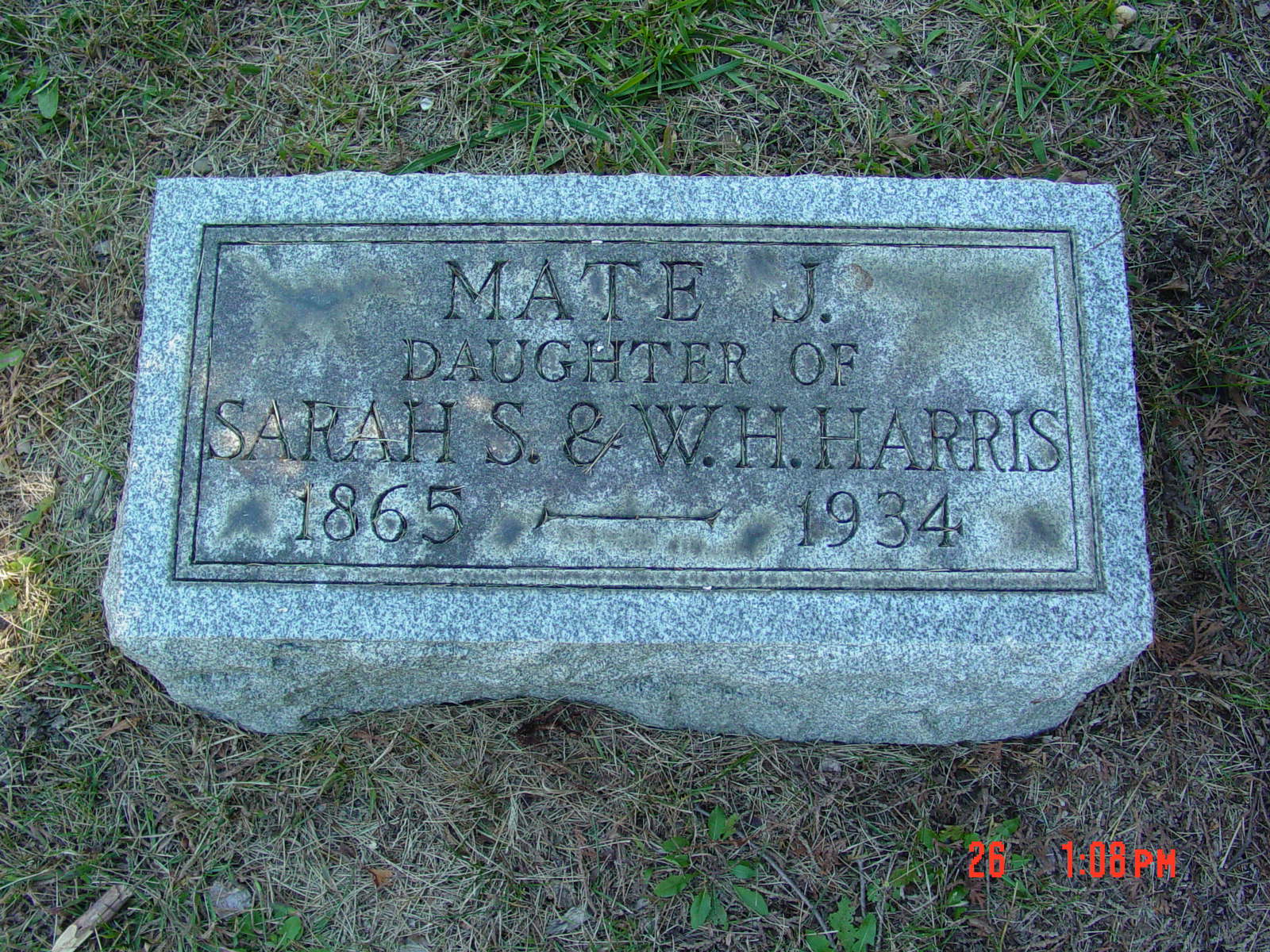 Portrait of Mate  Harris