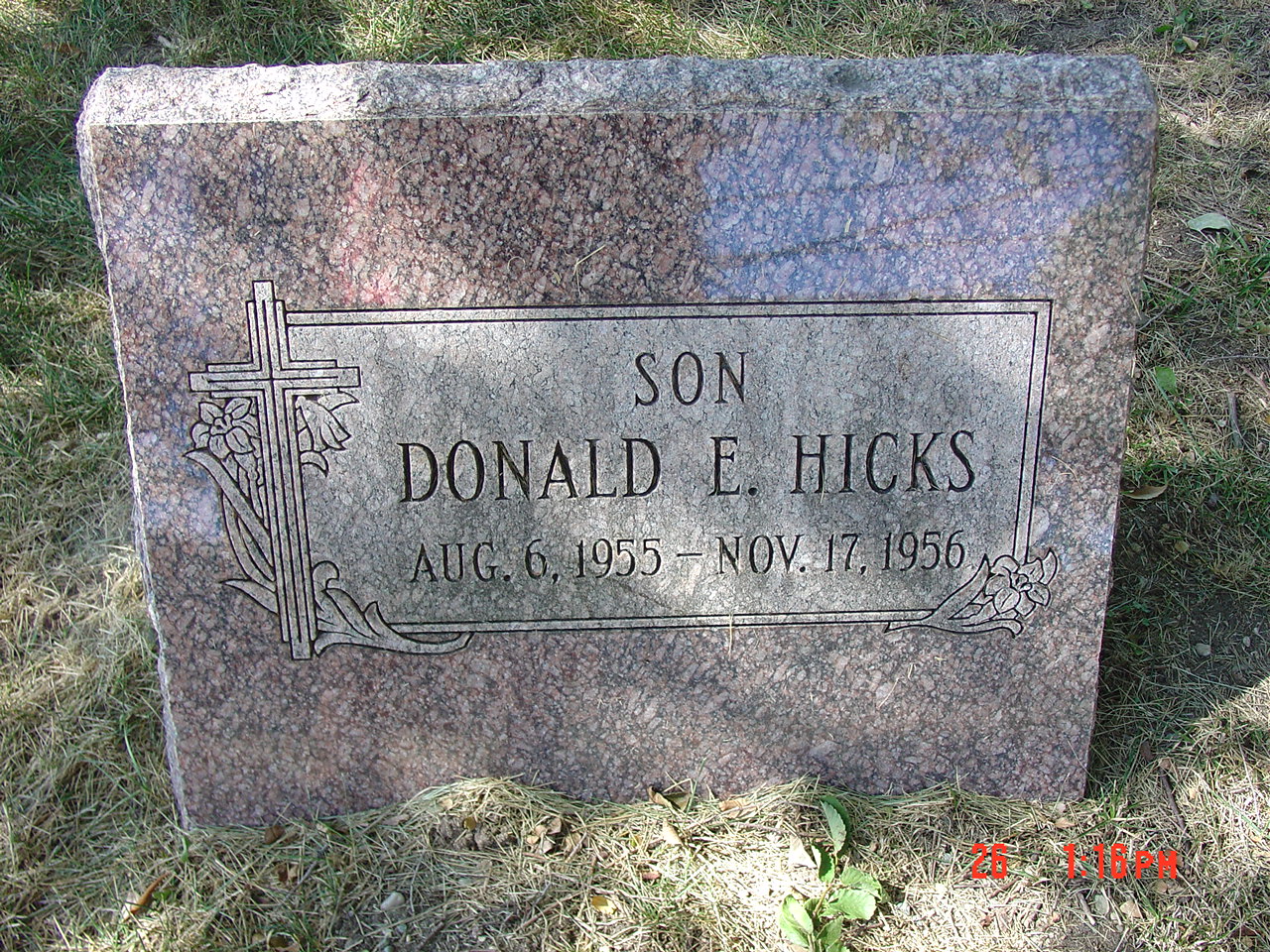 Portrait of Donald E Hicks