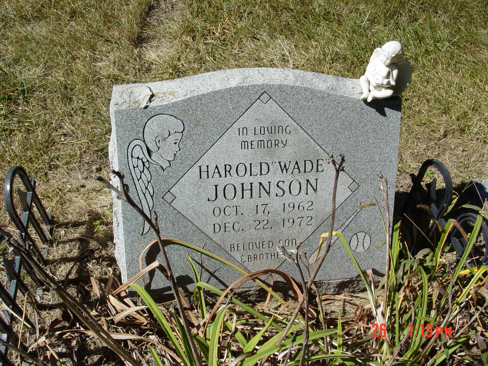 Portrait of Harold Wade Johnson