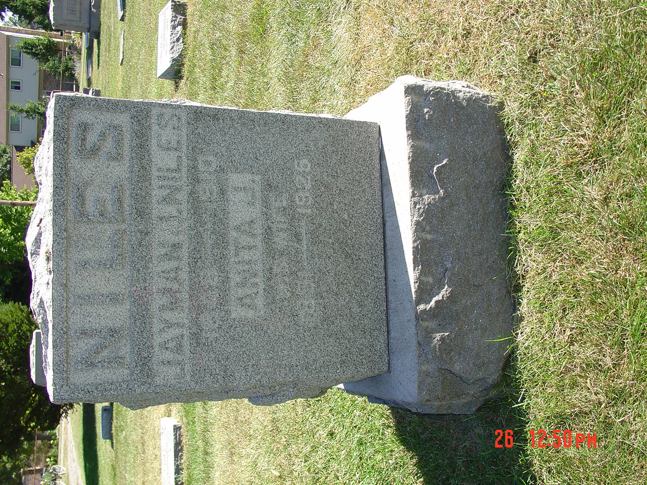 Portrait of Anita J Niles