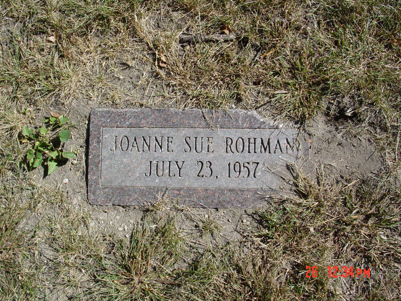 Portrait of Joanne Sue Rohman