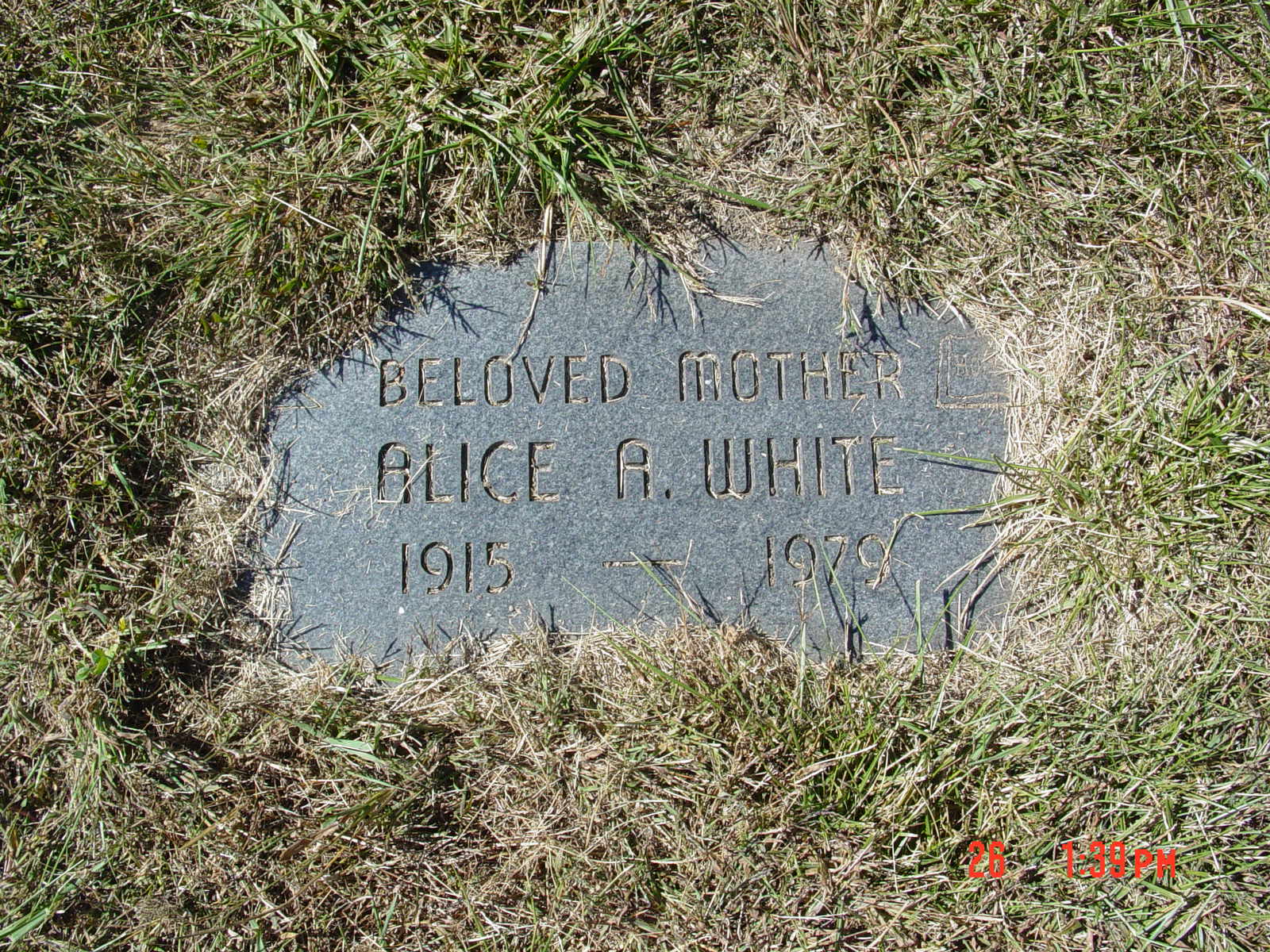 Portrait of Alice A White
