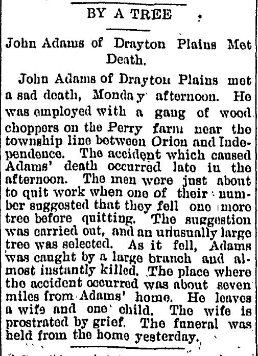 John Adams Killed Felling Tree