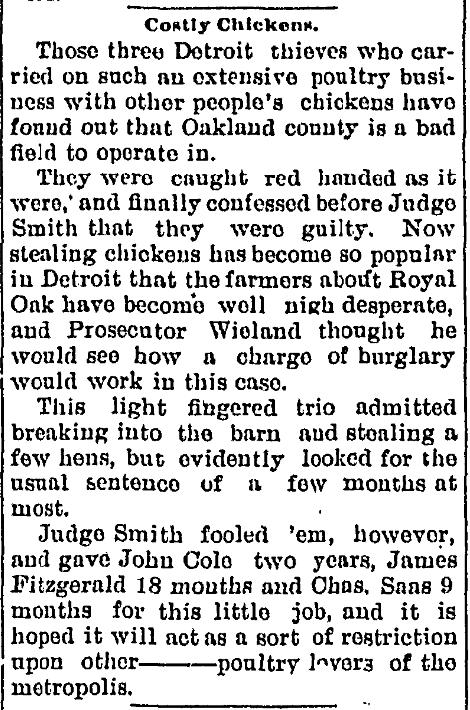 Chicken Thieves In Oakland