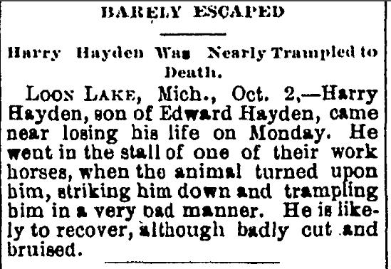 Harry Hayden Trampled By Horse