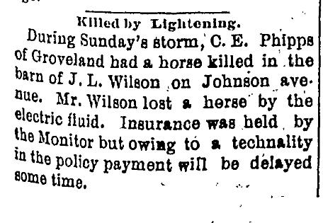 Horse Killed By Lightning