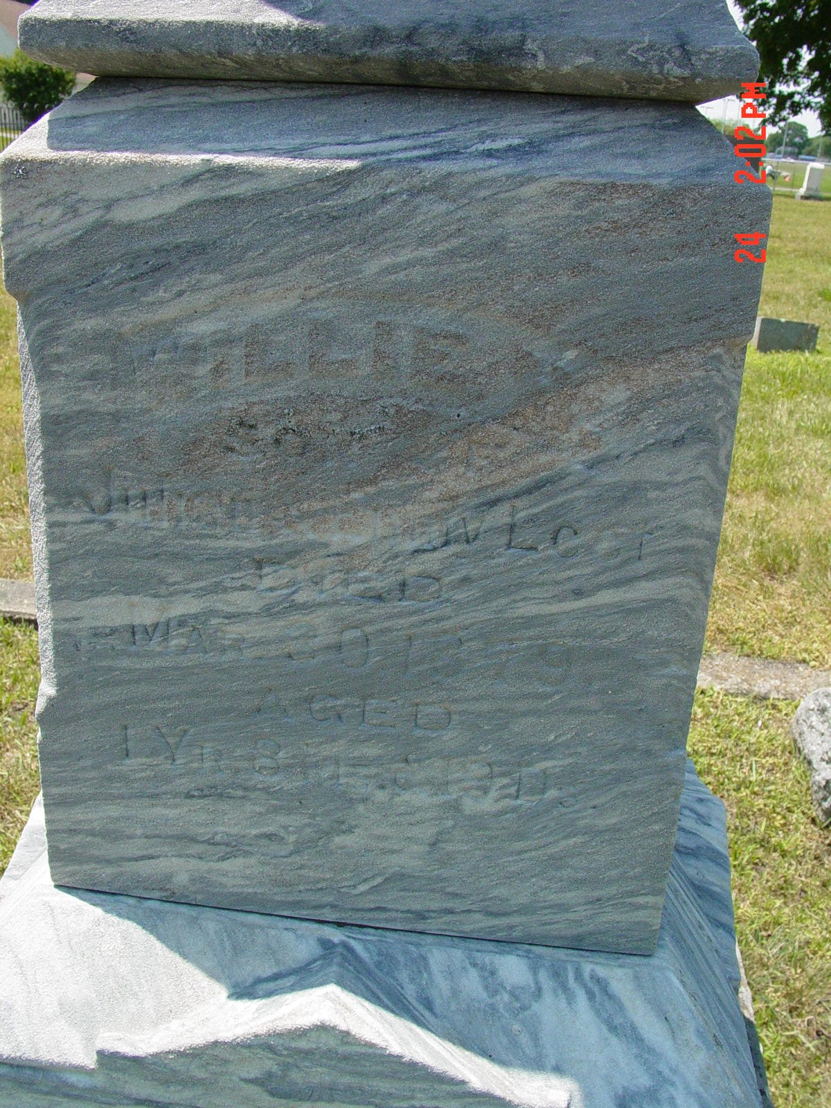 Portrait of Willie H Leet