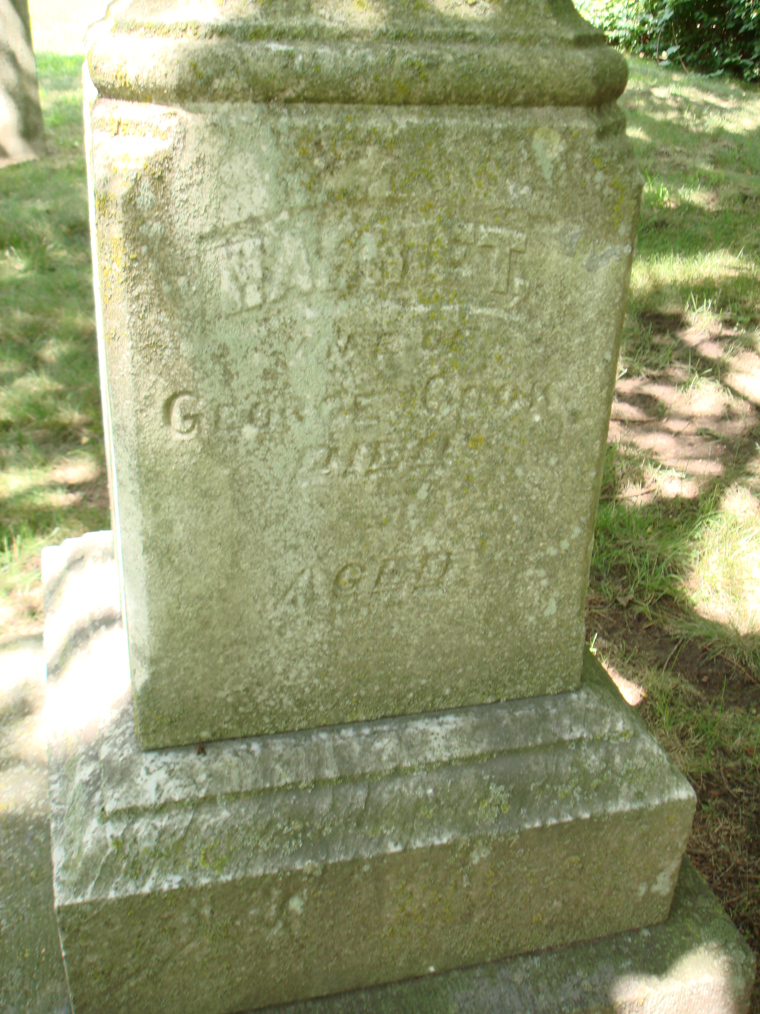 Portrait of Harriet Cook