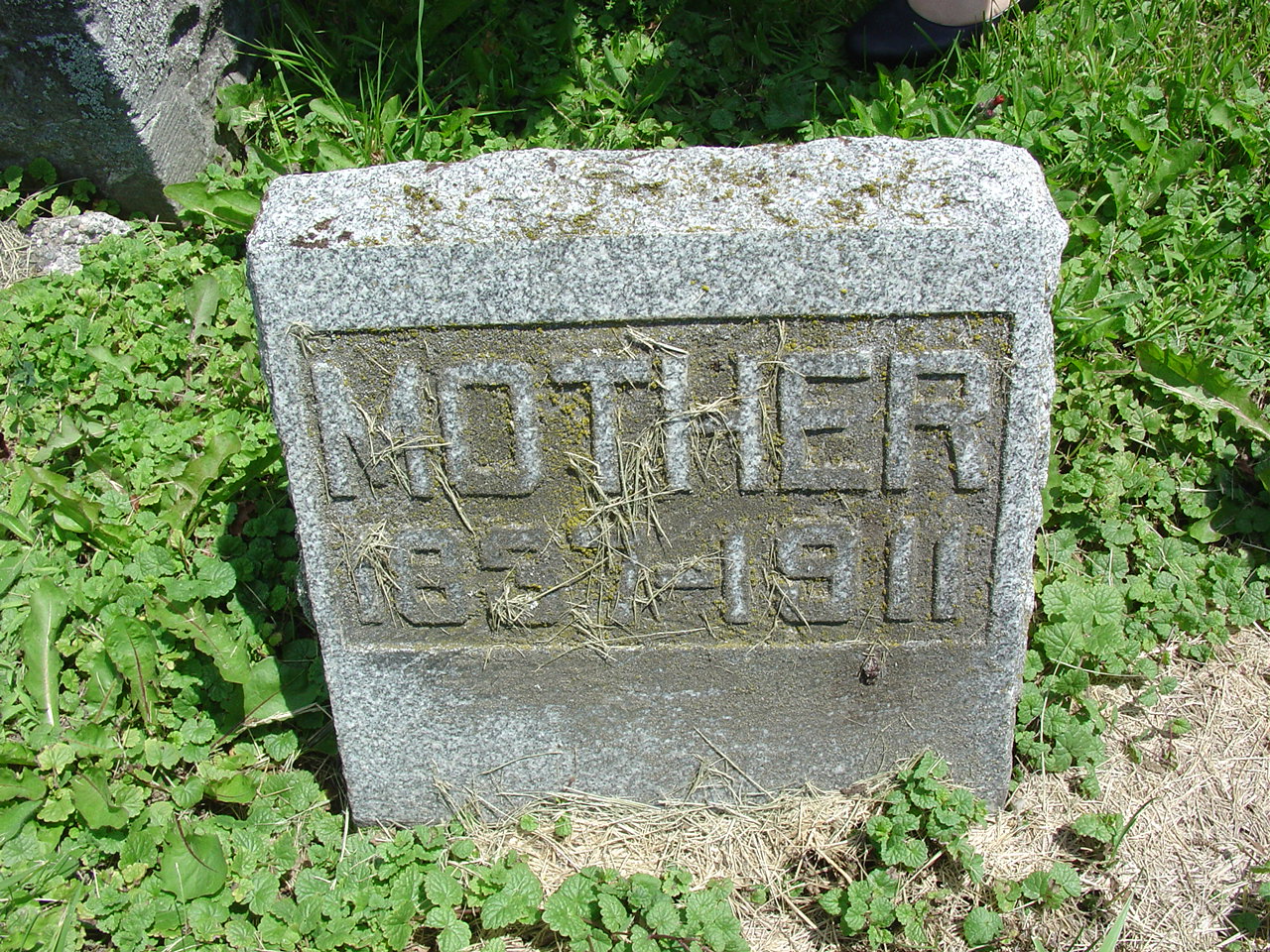 Portrait of Mary B  McBratney