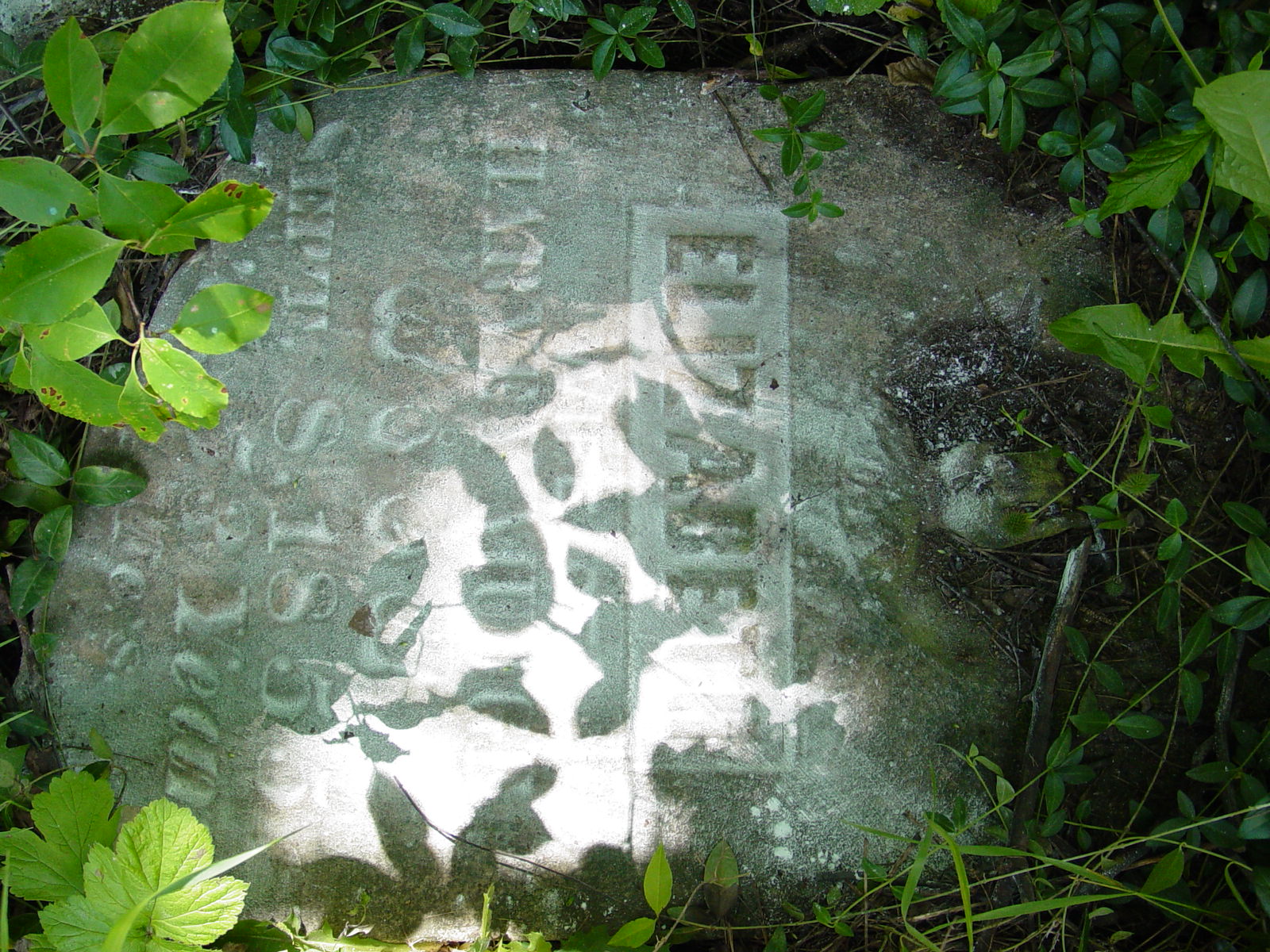 Portrait of Elizabeth Eaton Mudge