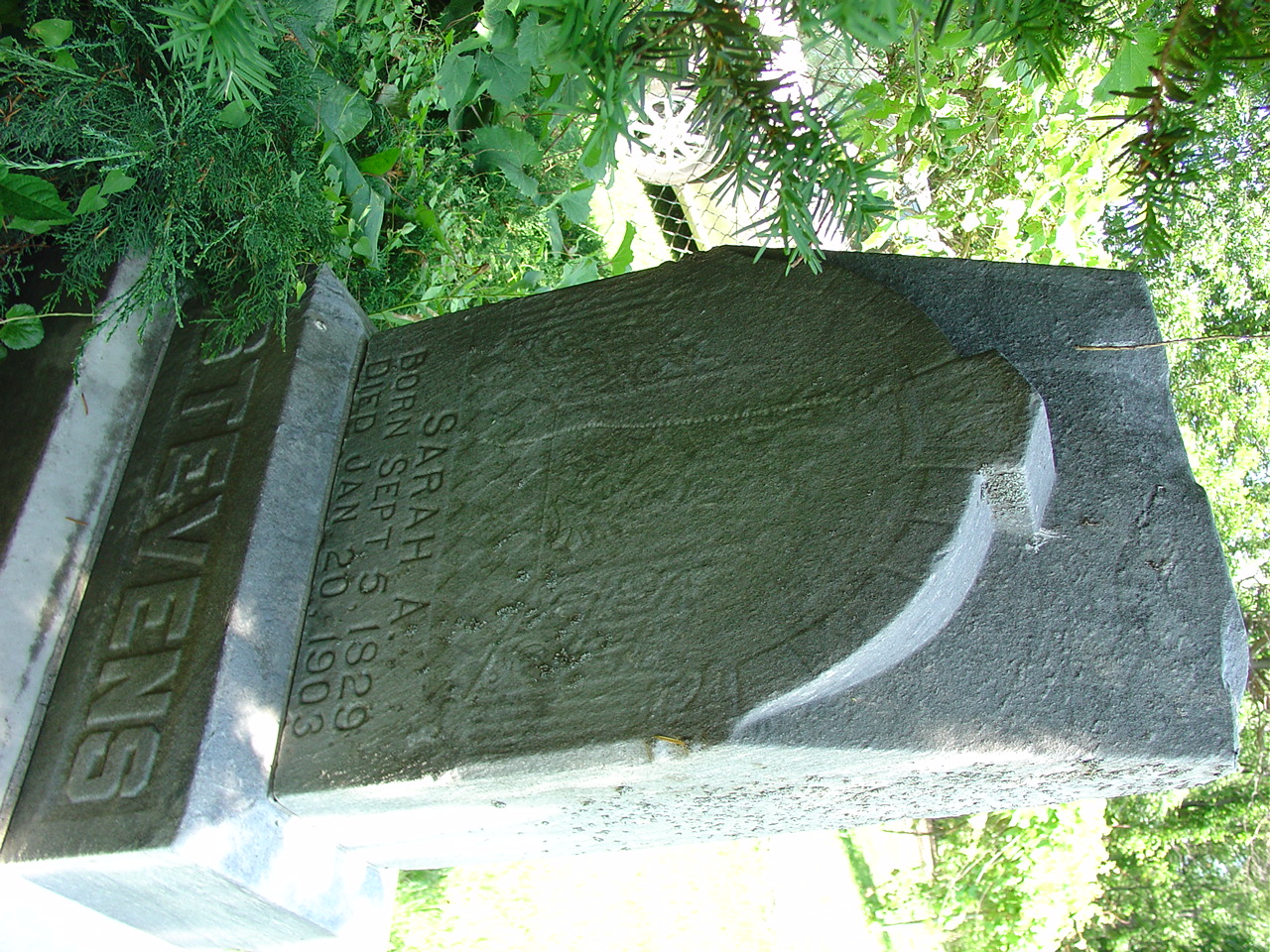 Portrait of Sarah Ann Stevens