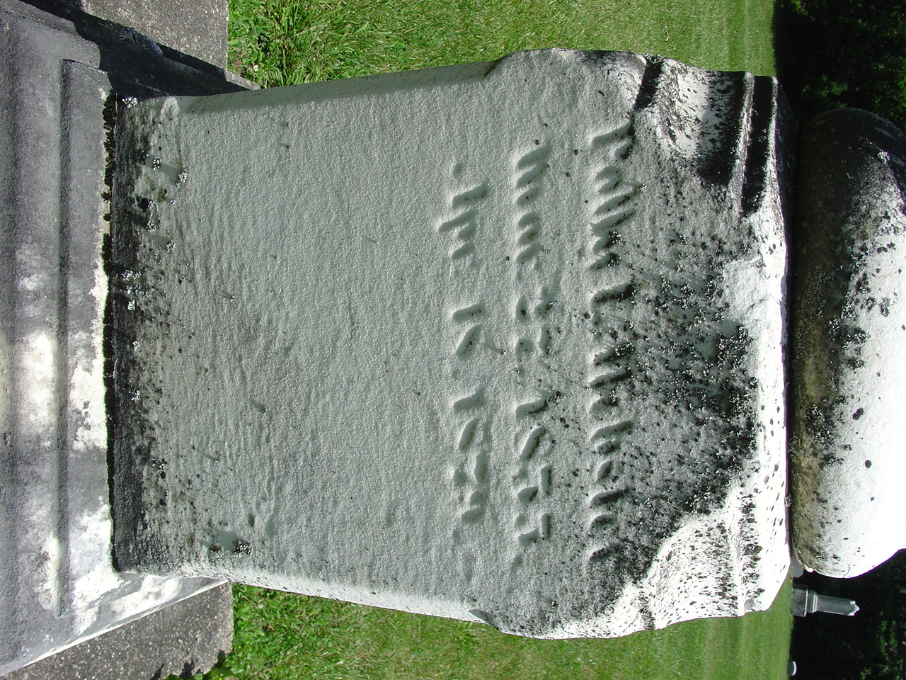 Portrait of Polly Louise Herriman Webster