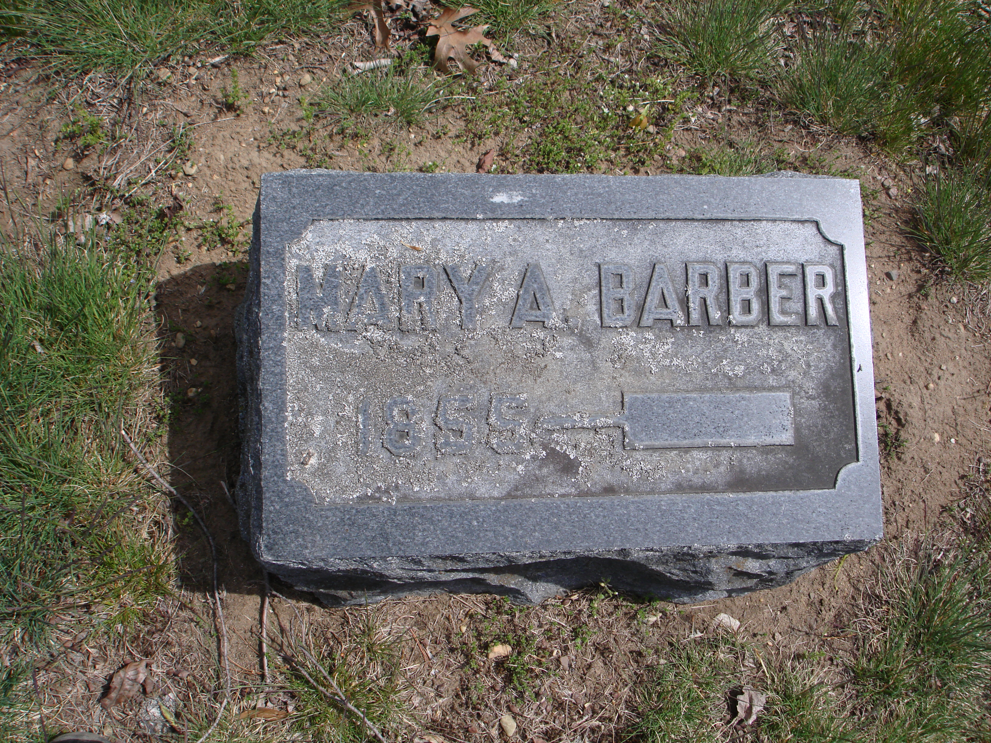 Portrait of Mary Ann  Schwelenstocker