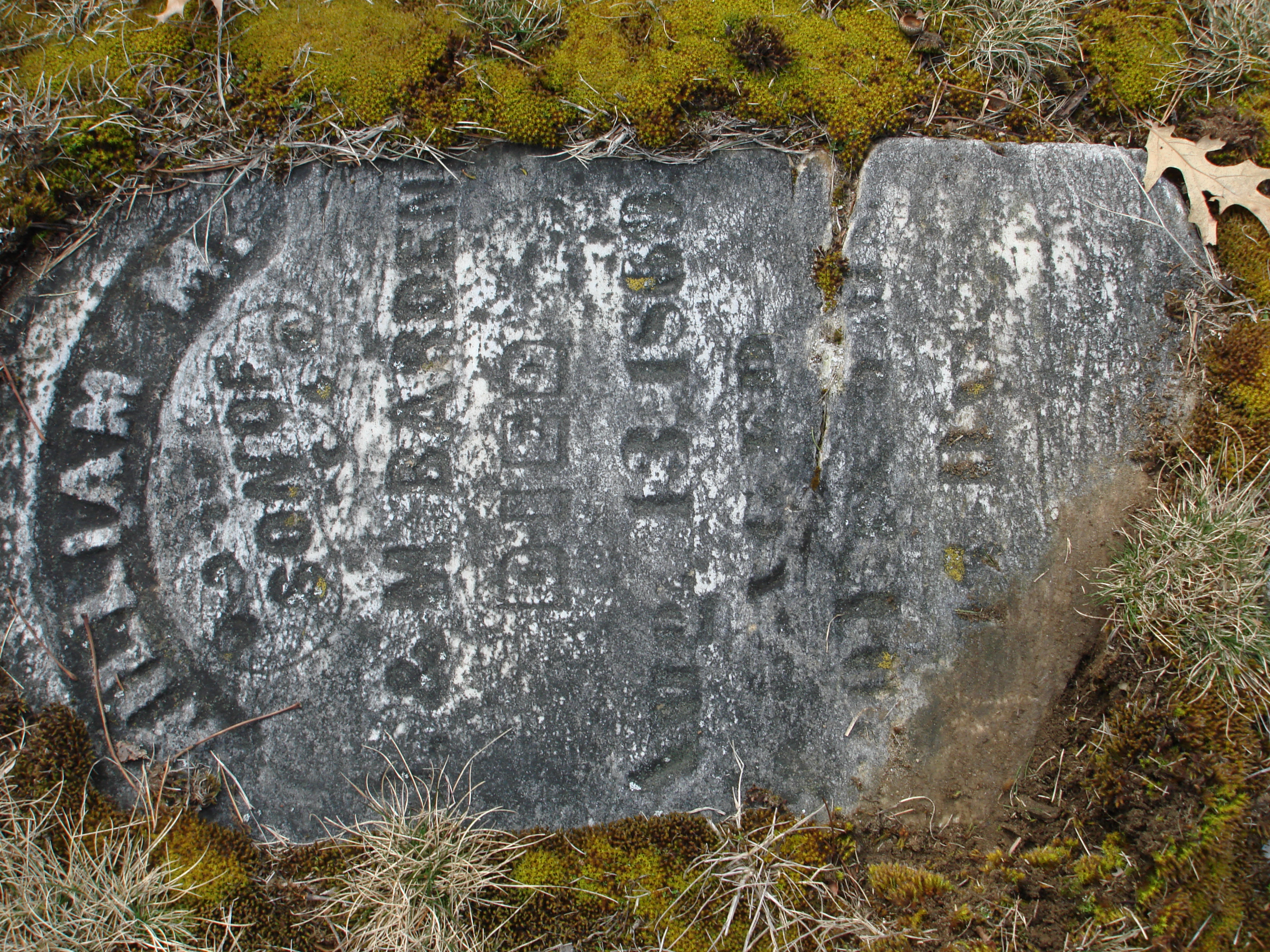 Portrait of William M Barden