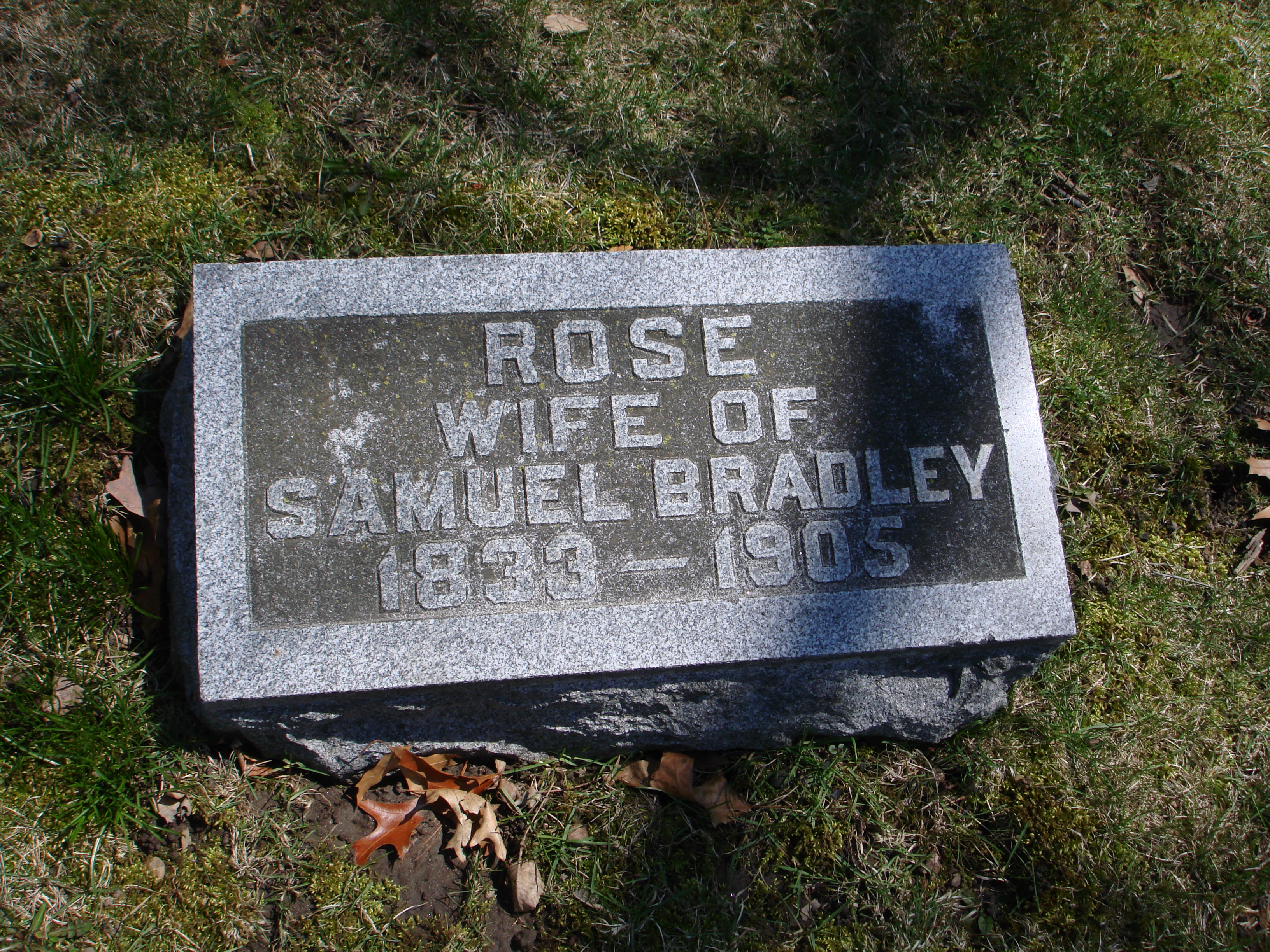 Portrait of Rosina  McCoy