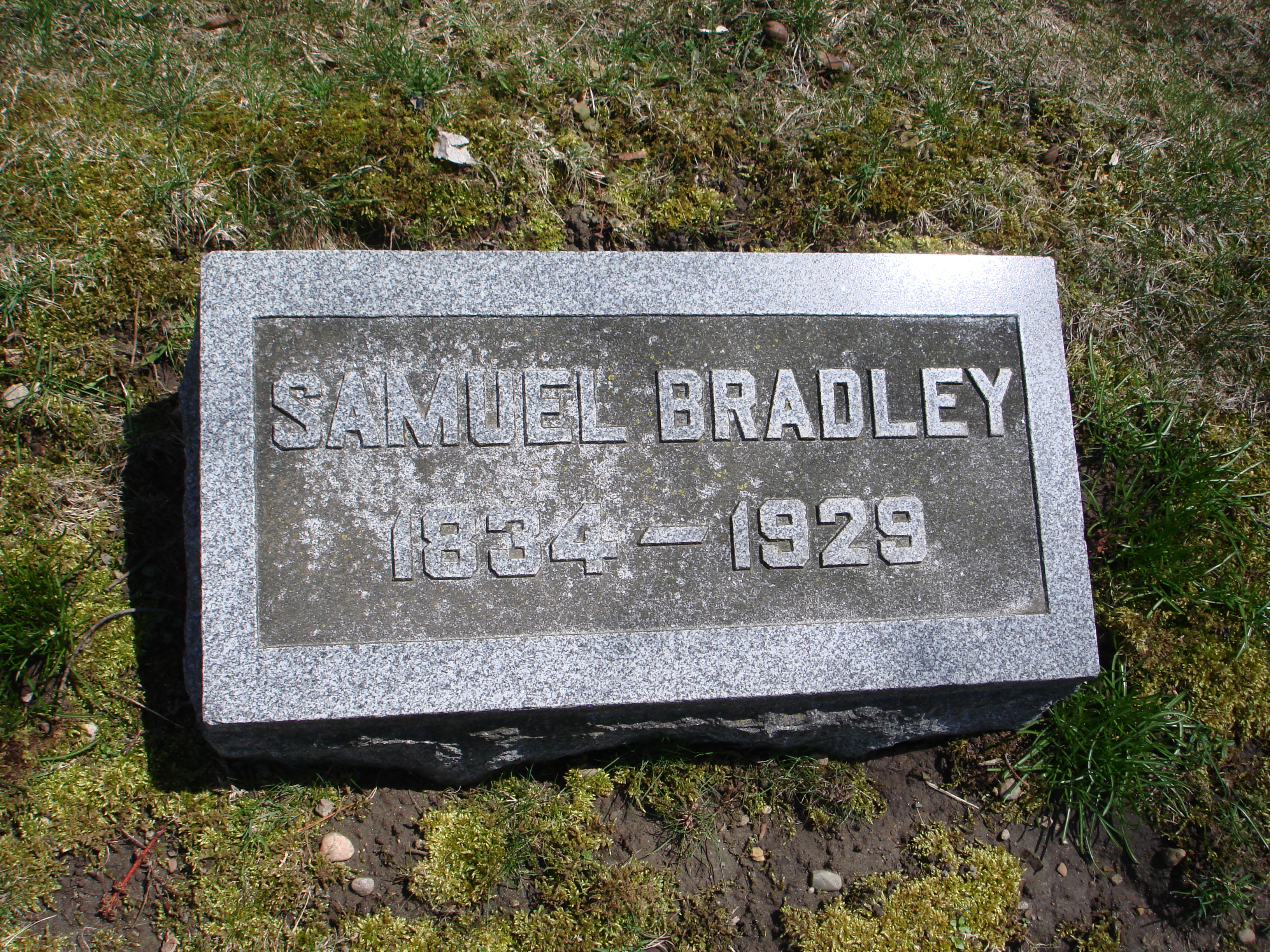 Portrait of Samuel Bradley