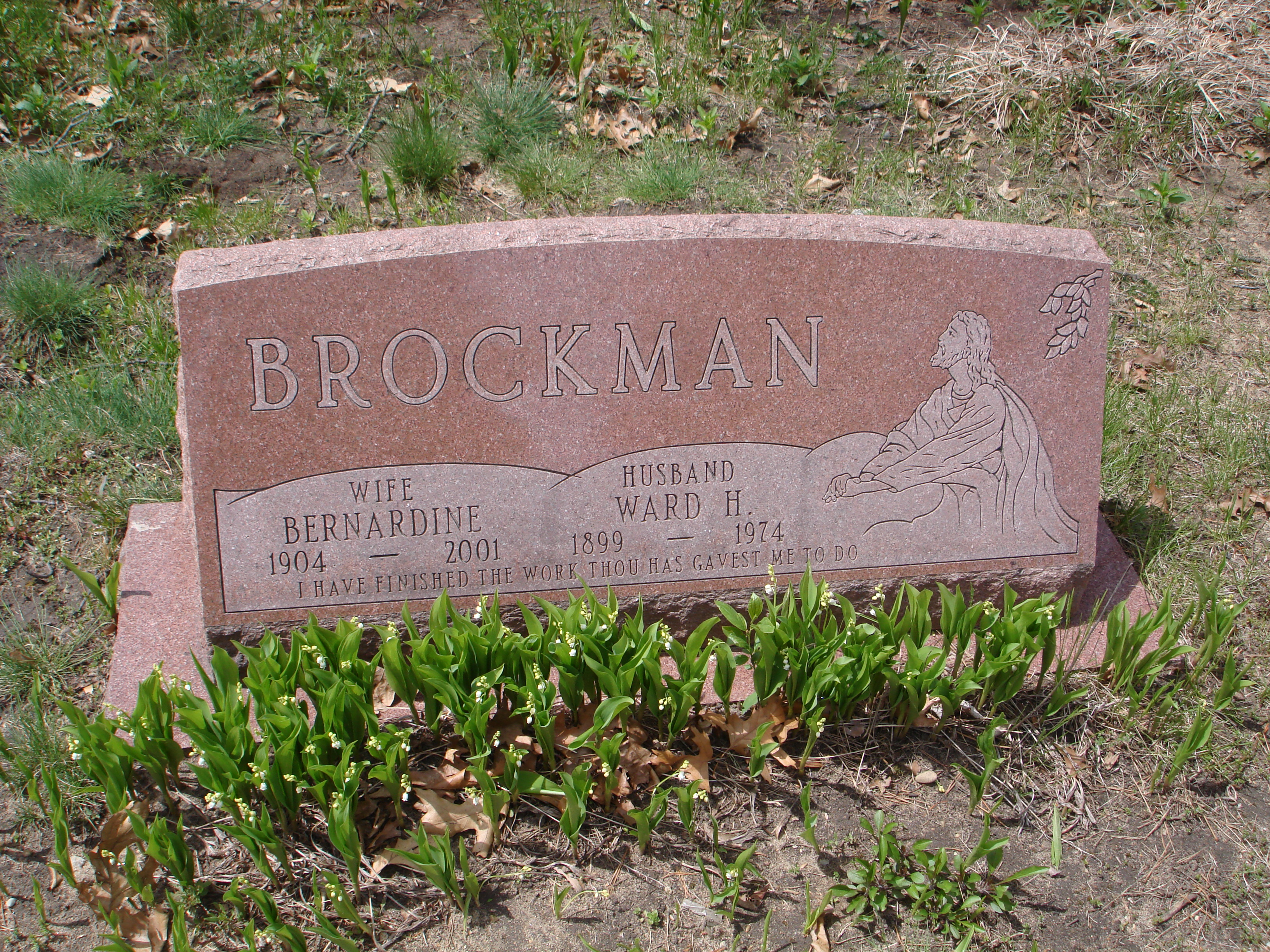 Portrait of Ward H Brockman