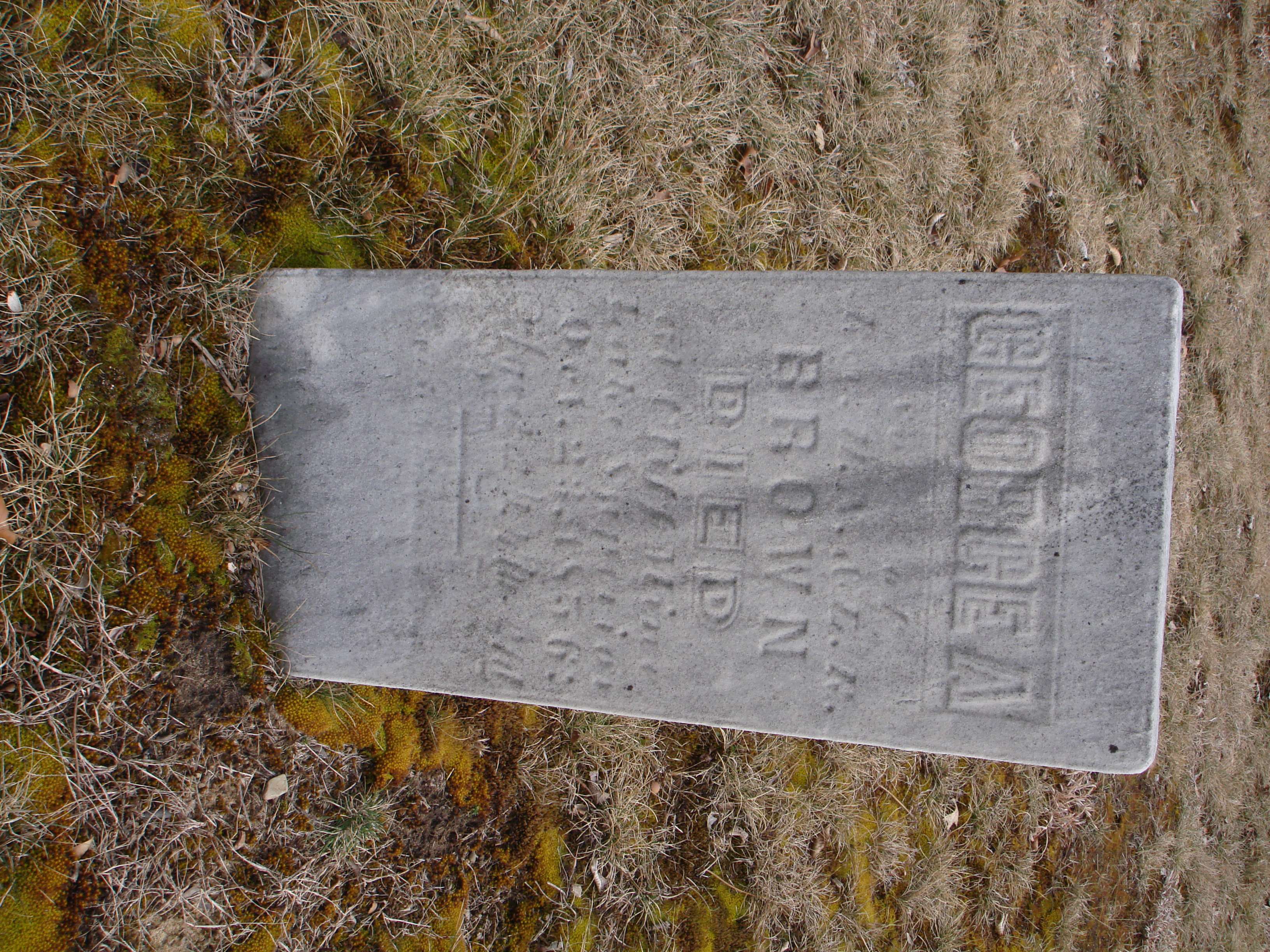 Portrait of George A Brown