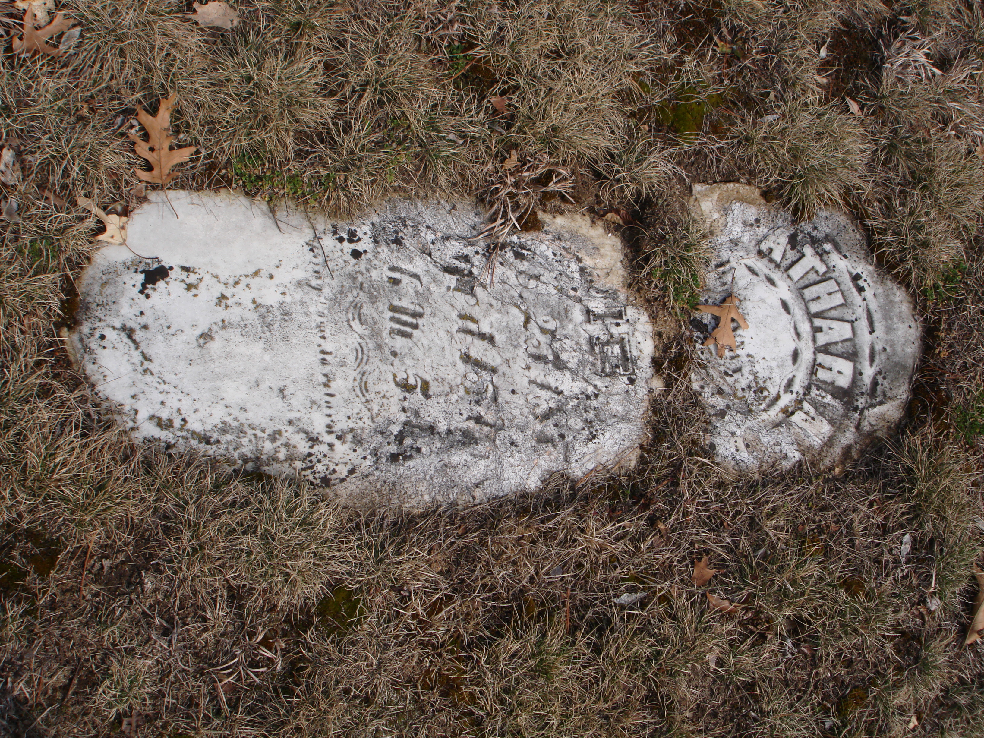 Portrait of Catherine Cole