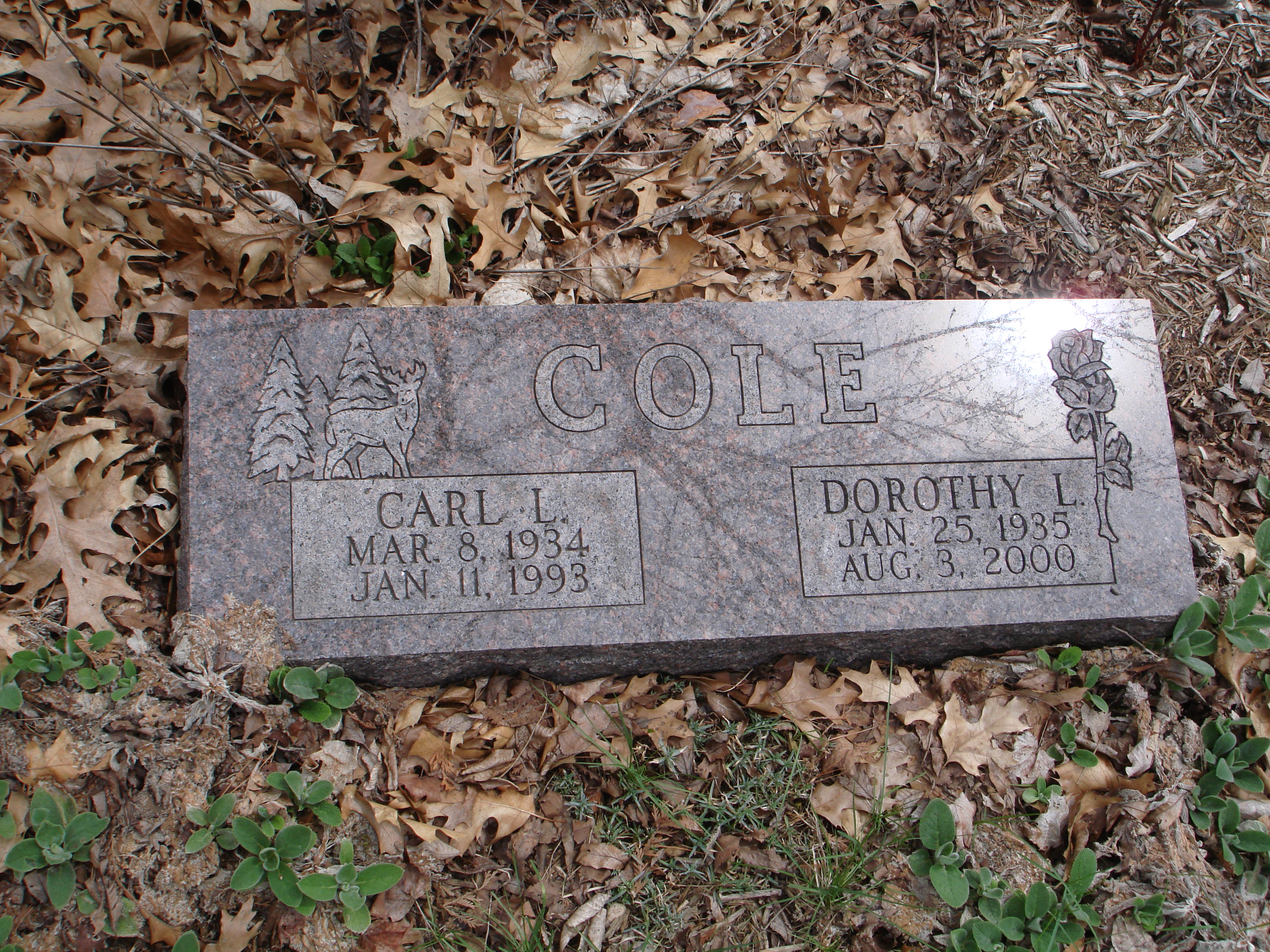 Portrait of Dorothy Louise Cole