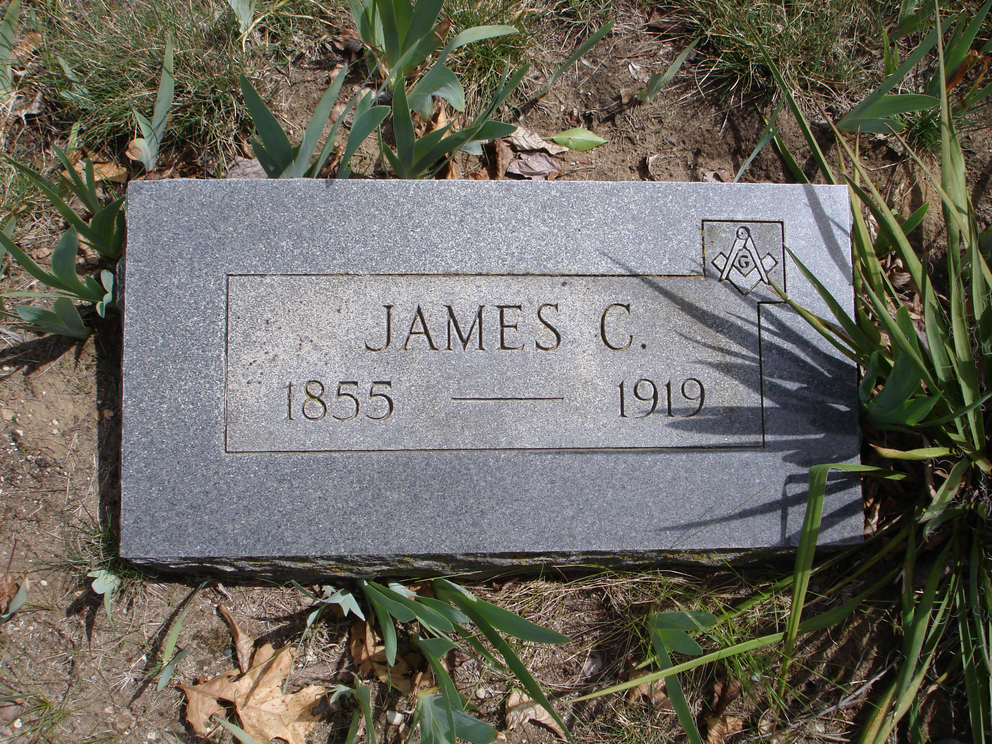 Portrait of James Collins
