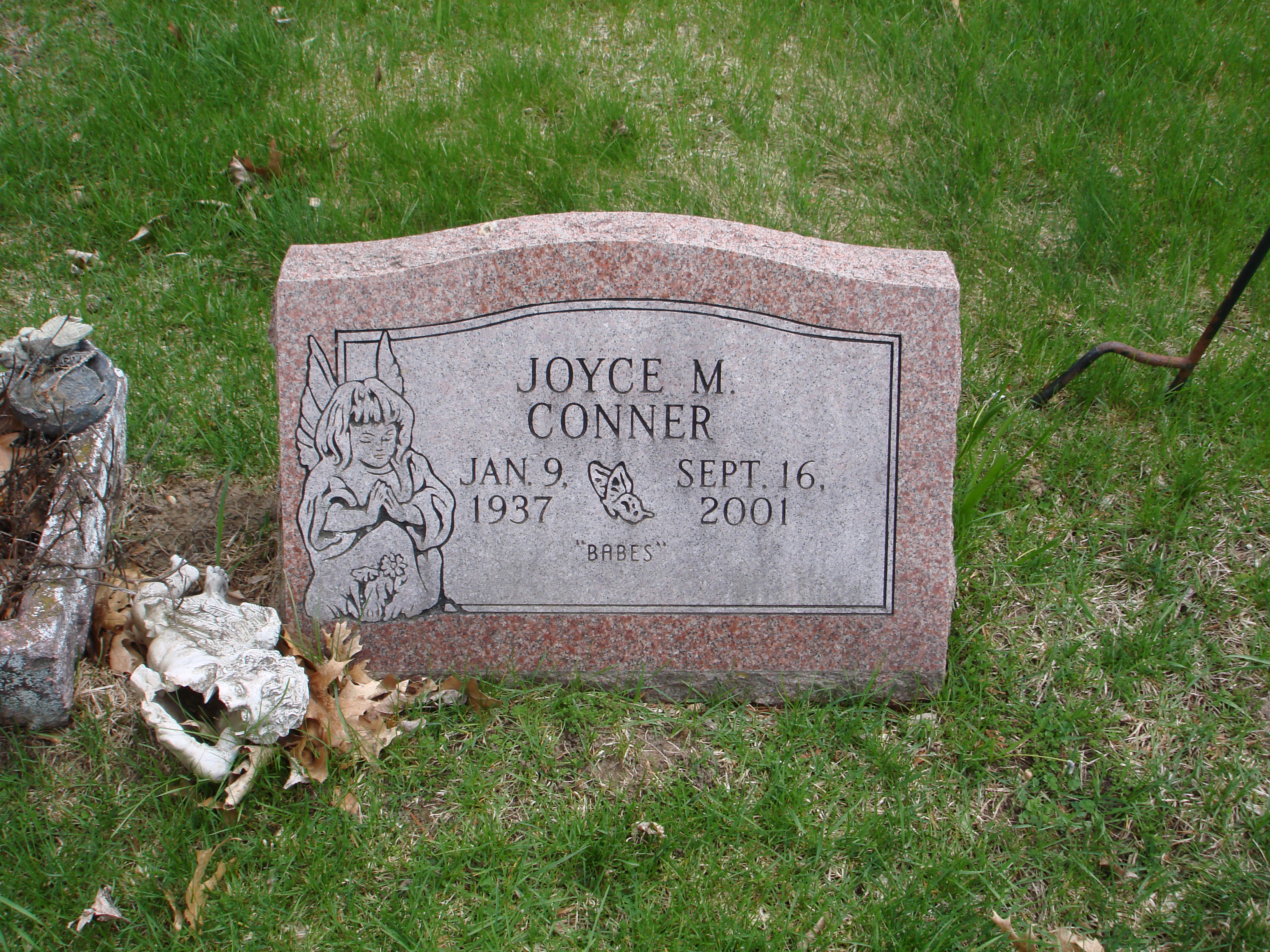 Portrait of Joyce Conner
