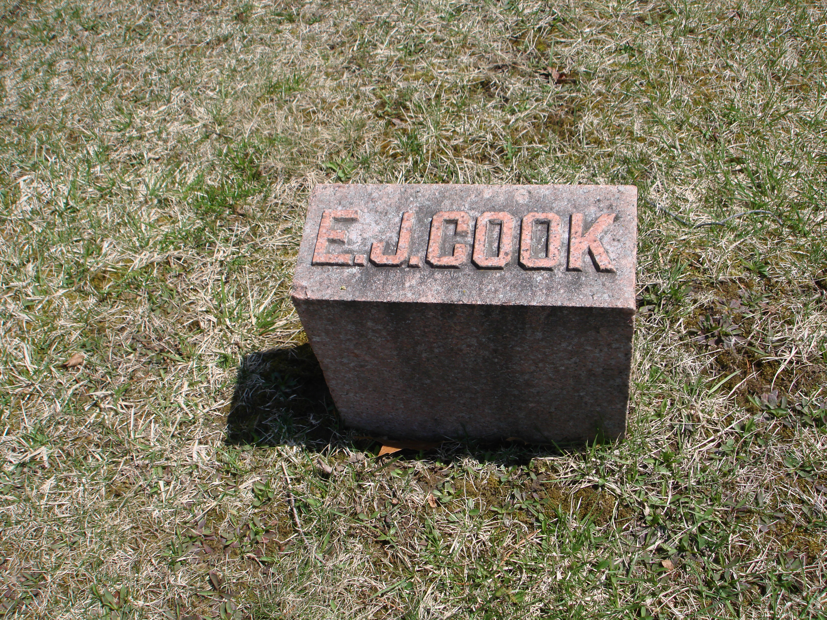 Portrait of Elisha Johnston Cook