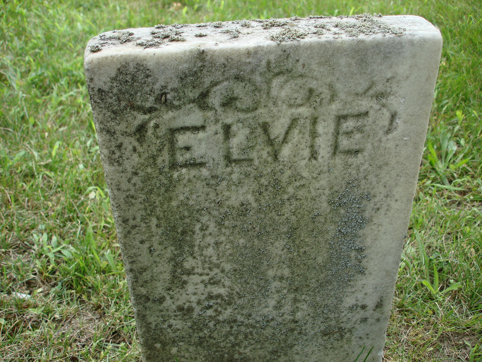 Portrait of Elvie Cole