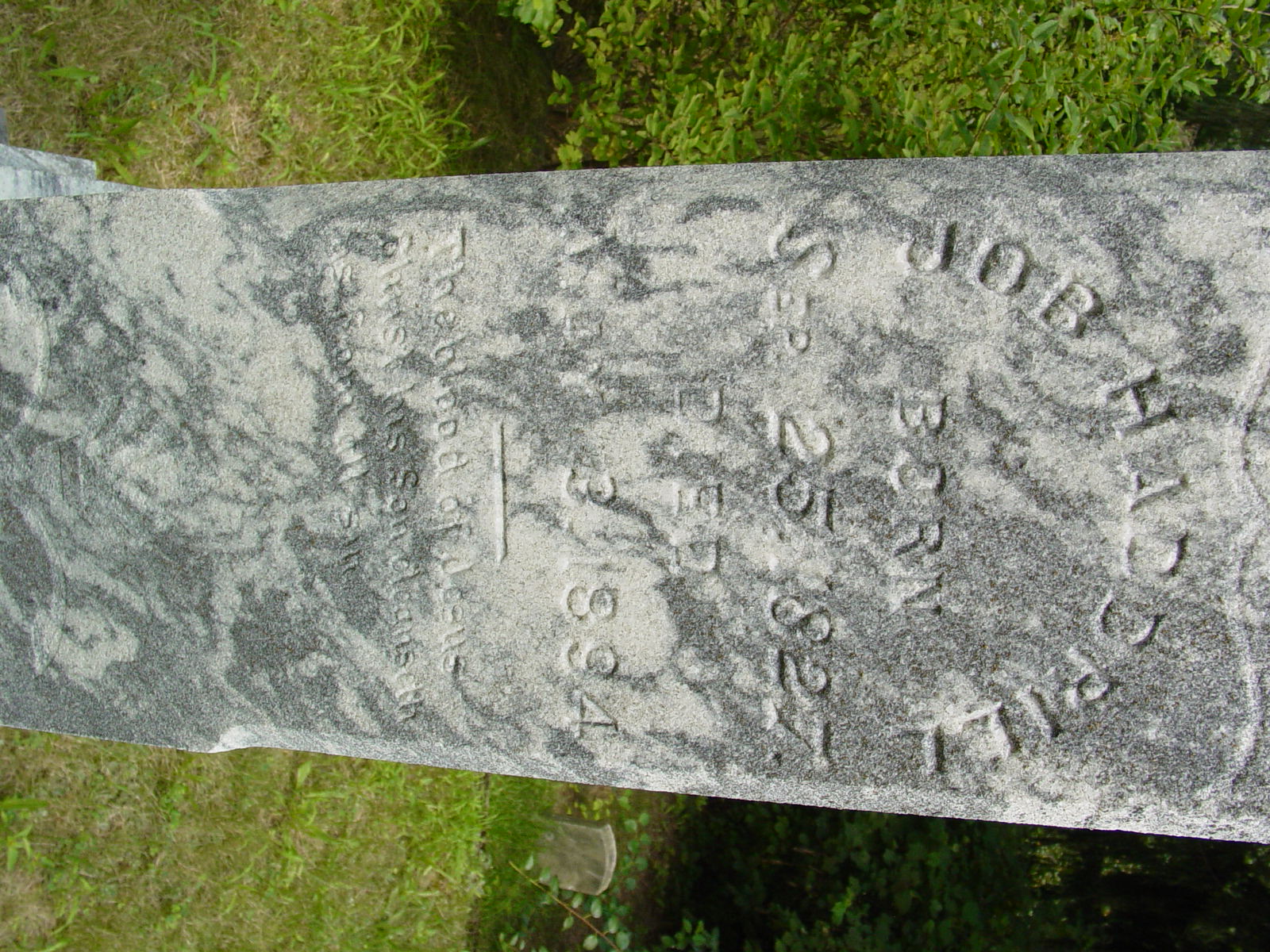 Portrait of Job Haddrill