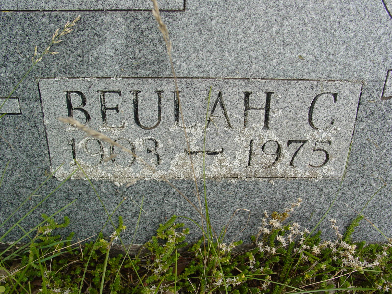 Portrait of Beulah McNeal